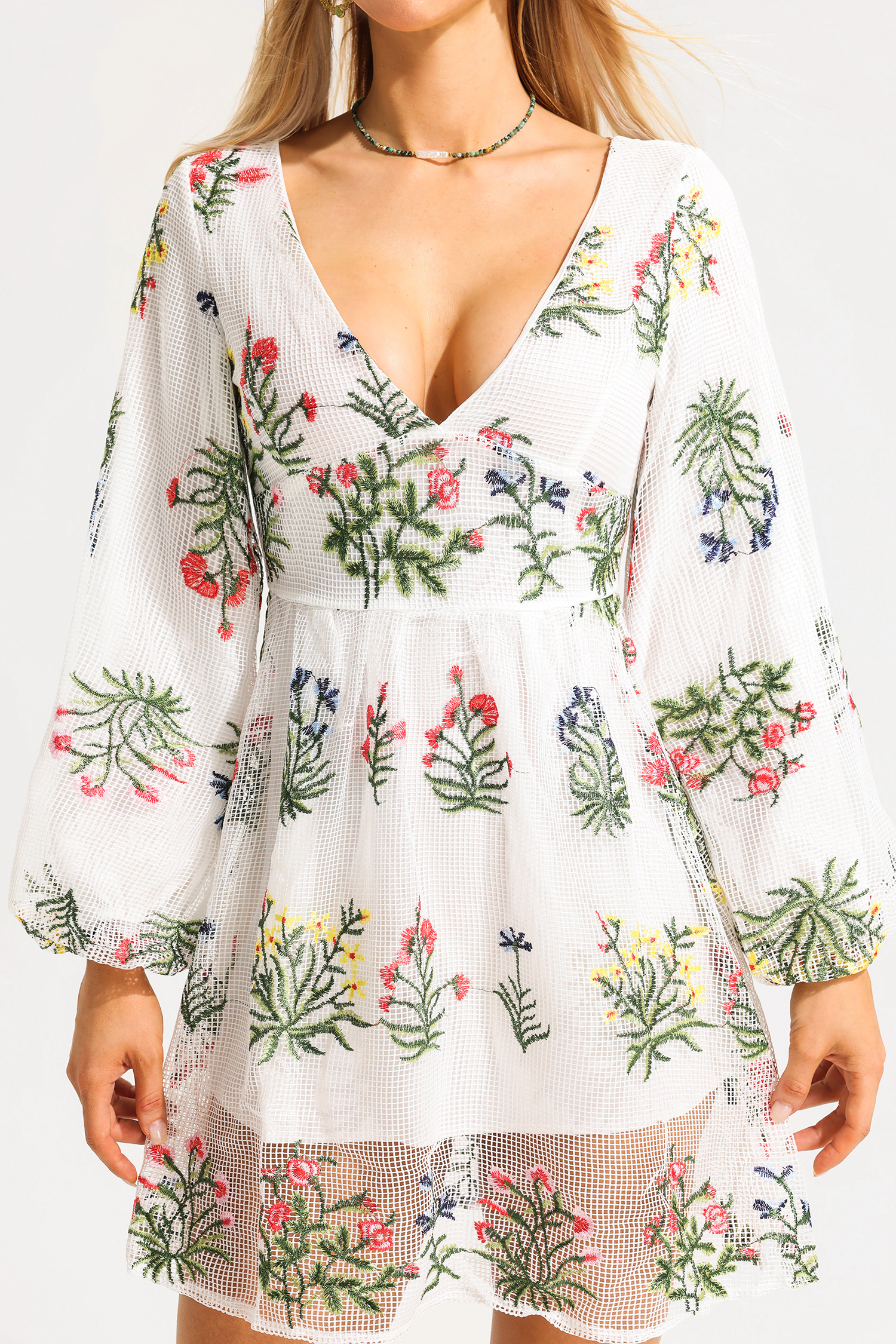Embroidered Floral Lantern Sleeve V-Neck Mini Dress