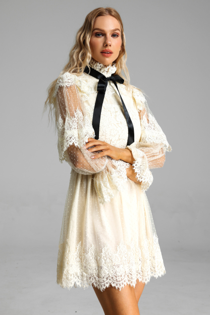 Lantern Sleeve Lace Up Mini Dress