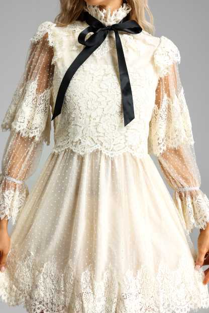 Lantern Sleeve Lace Up Mini Dress