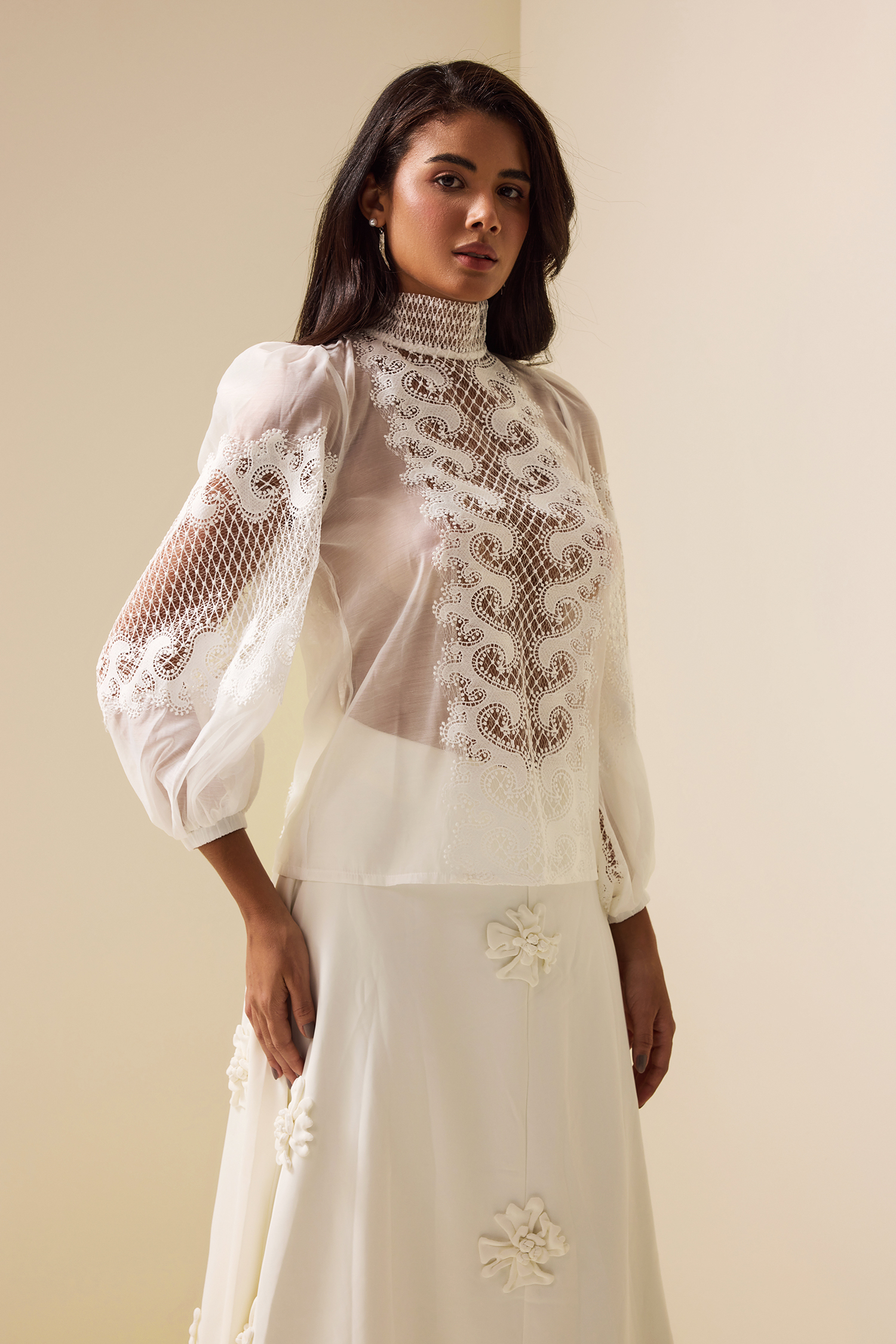 Lace Long Sleeve High Neckline Top