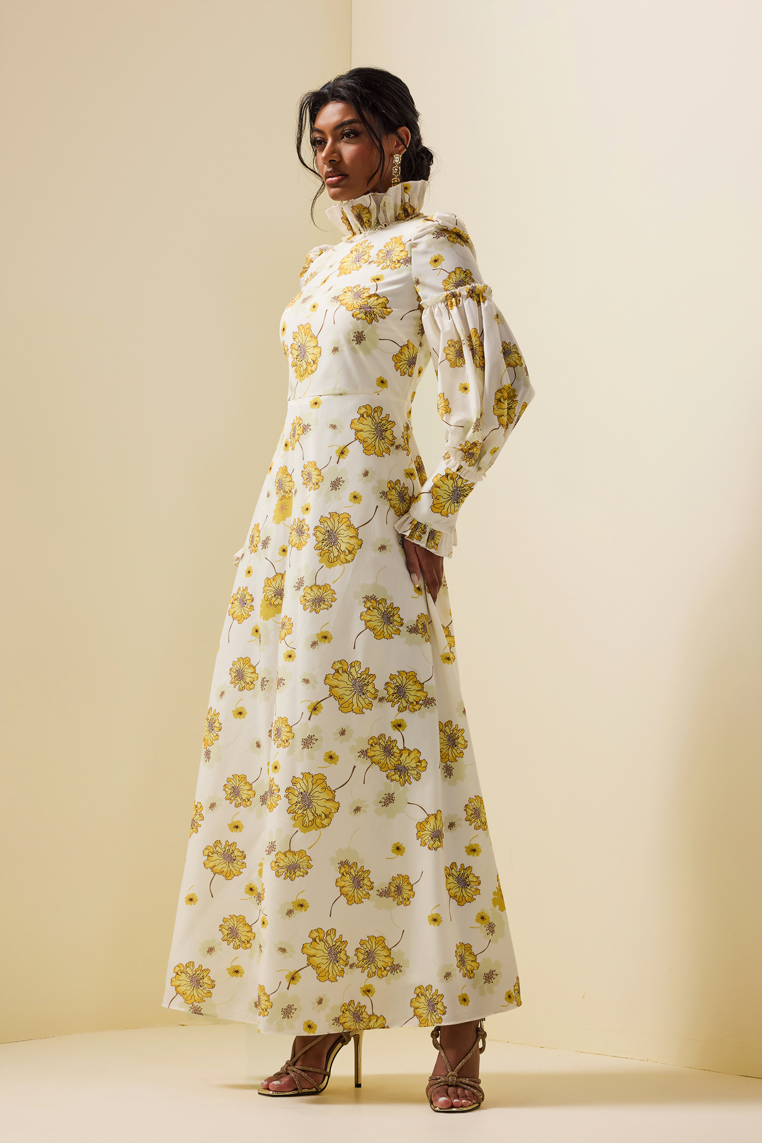 Floral Stand Collar Lantern Sleeve Maxi Dress