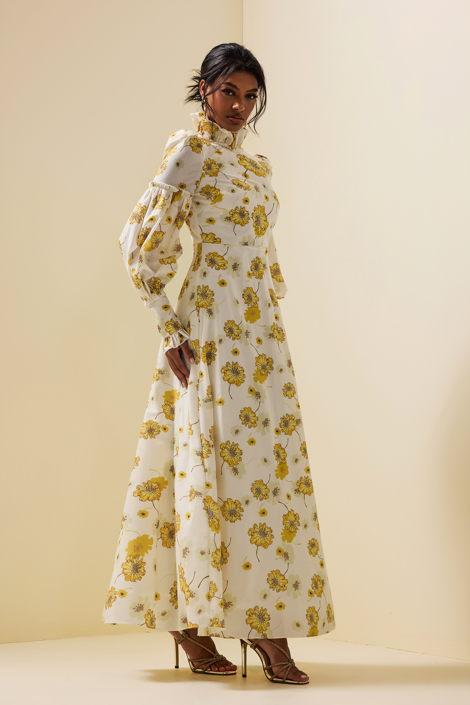 Floral Stand Collar Lantern Sleeve Maxi Dress