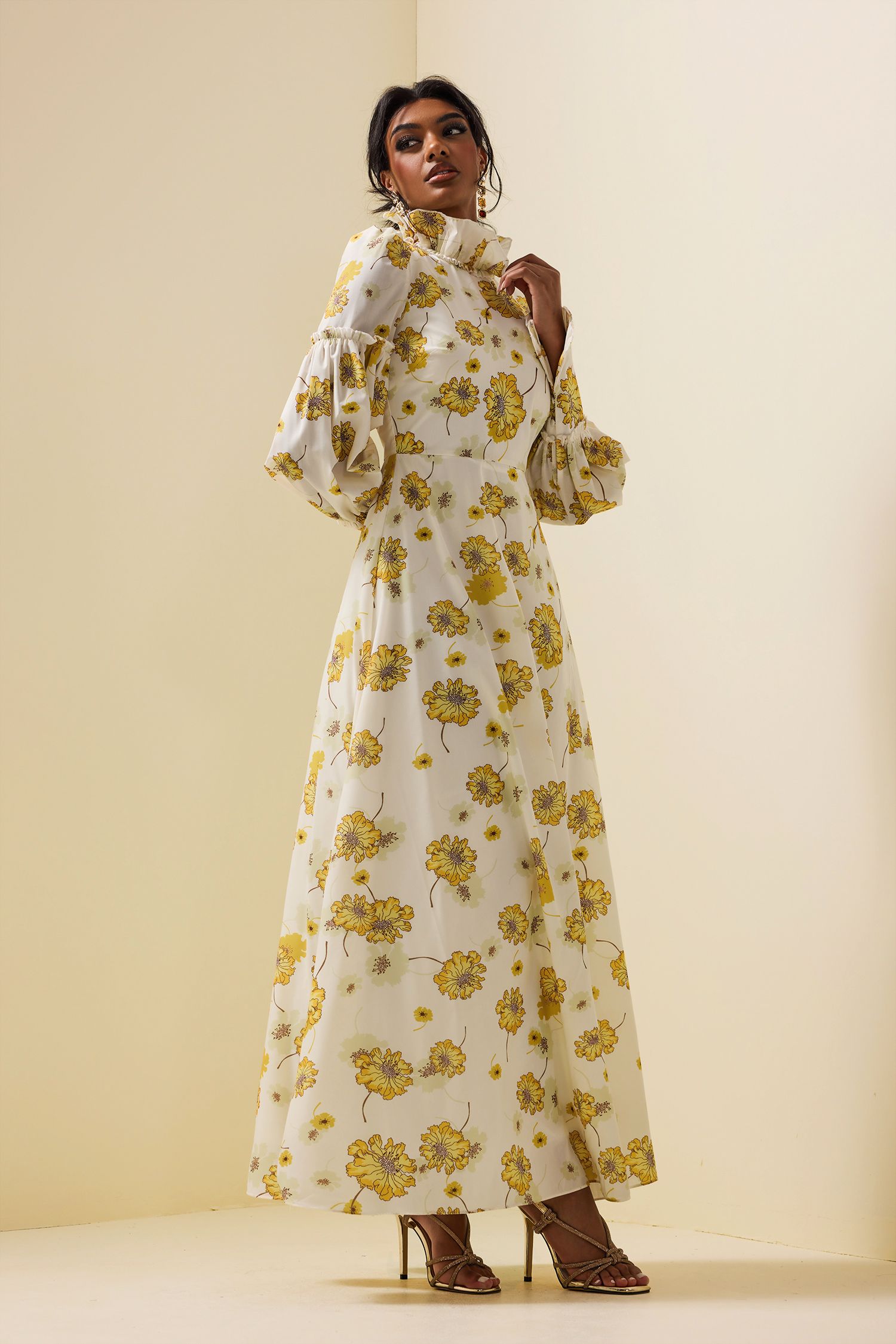 Floral Stand Collar Lantern Sleeve Maxi Dress