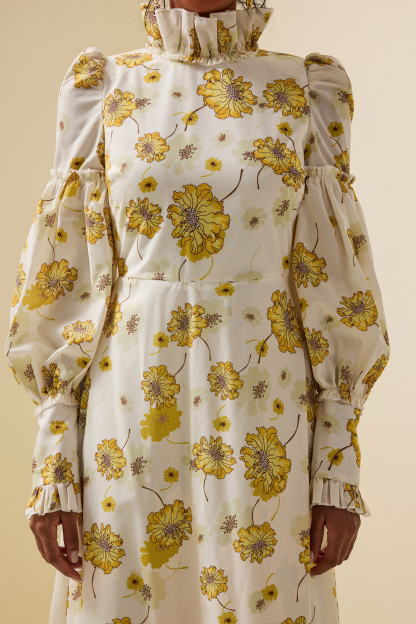 Floral Stand Collar Lantern Sleeve Maxi Dress