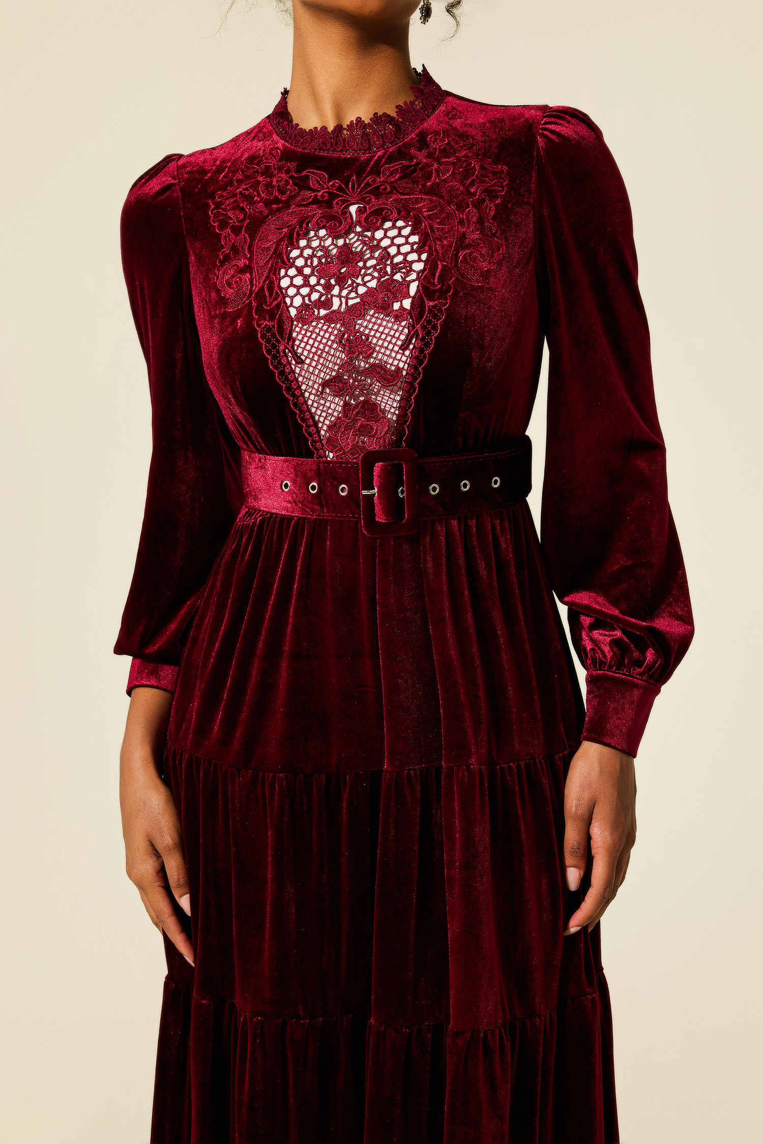 Embroidered Velvet Lantern Sleeve Midi Dress