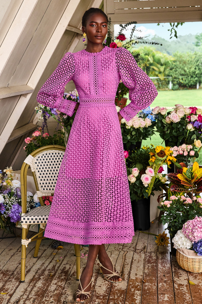 Solid Lace Lantern Sleeve Midi Dress