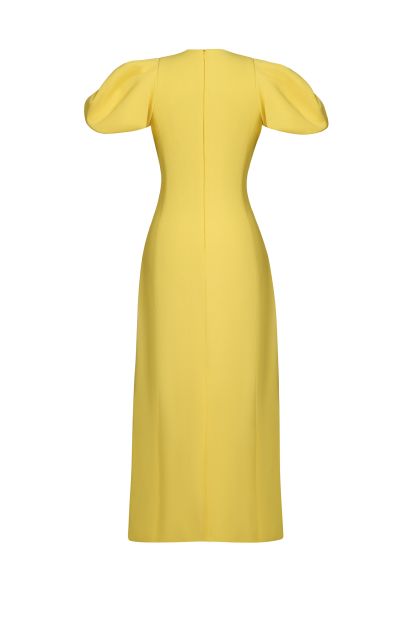 Embroidered Puff Sleeve Midi Dress