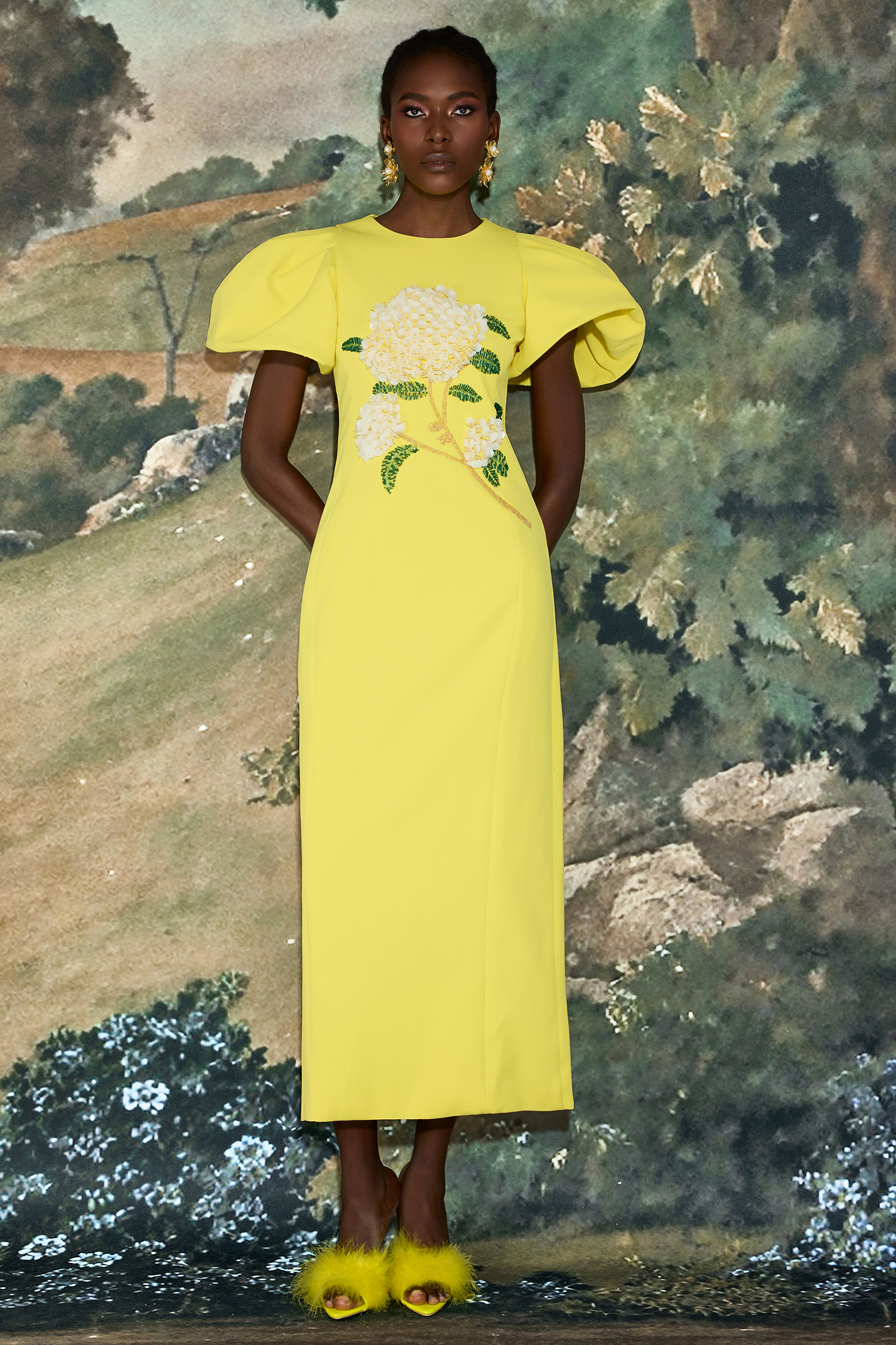 Embroidered Puff Sleeve Midi Dress