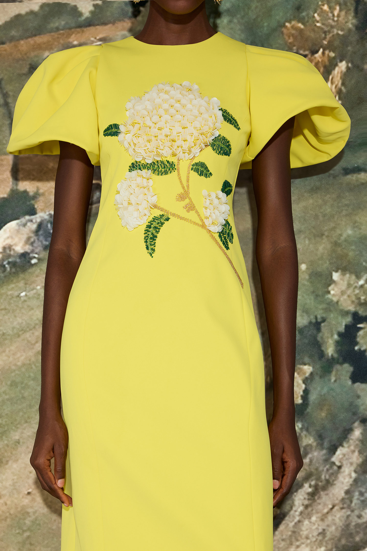 Embroidered Puff Sleeve Midi Dress