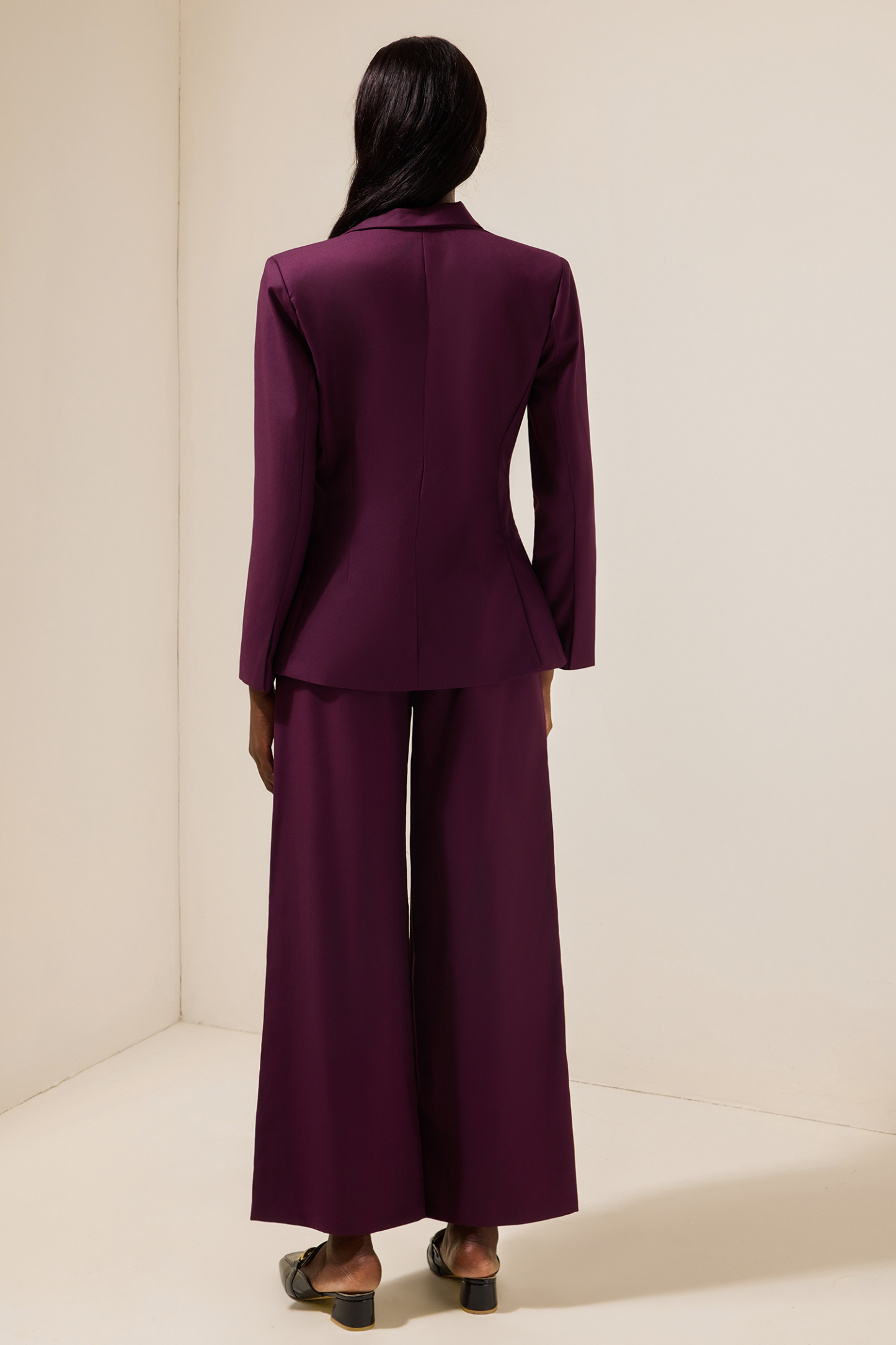 Solid Tailored Collar Blazer & High Waist Loose Pants Set