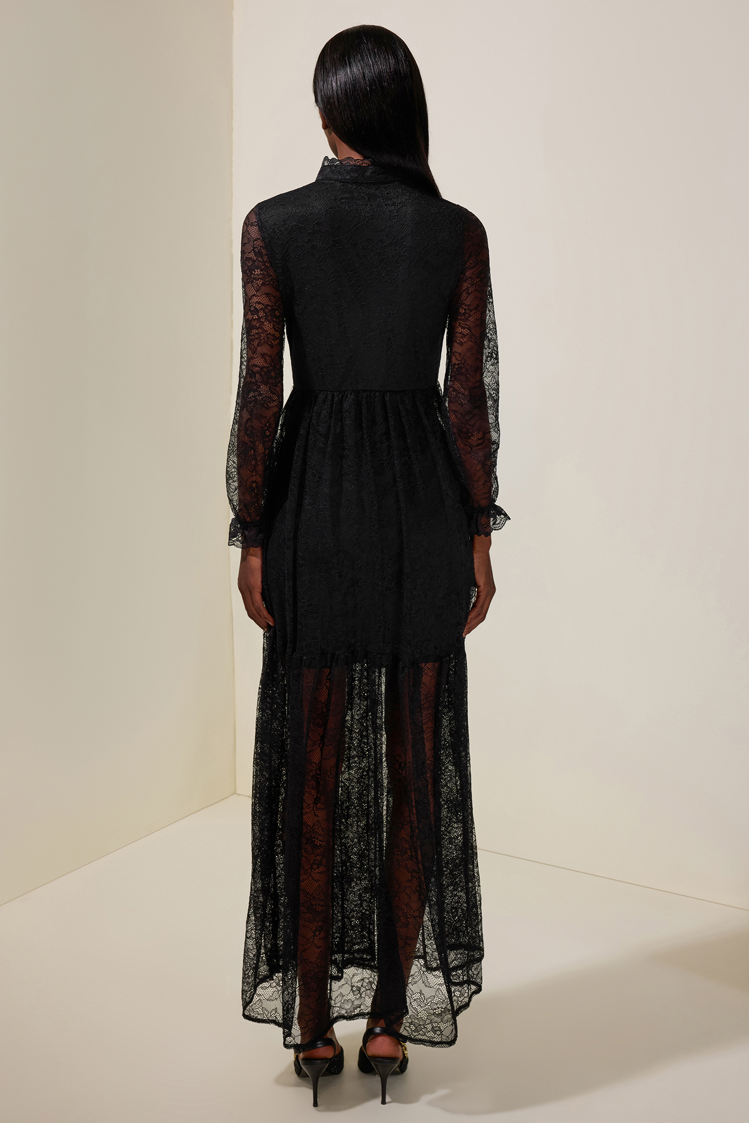 Lace Long Sleeve See-Through Maxi Dress