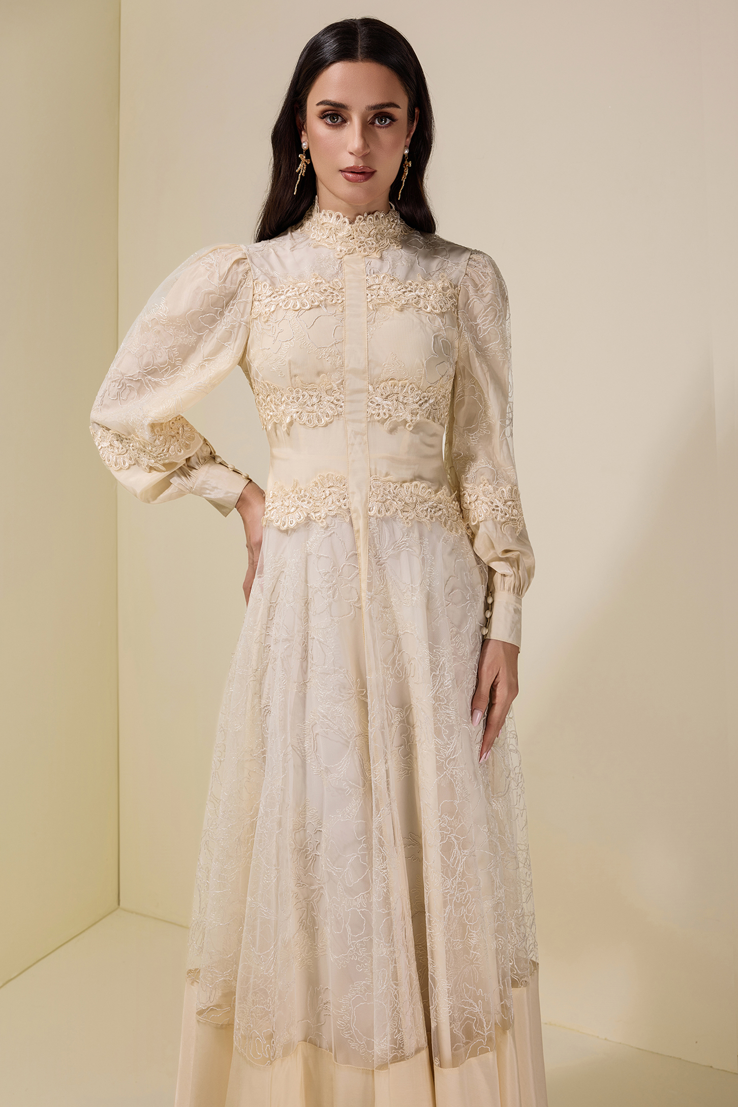 Embroidered Lace Long Sleeve Midi Dress