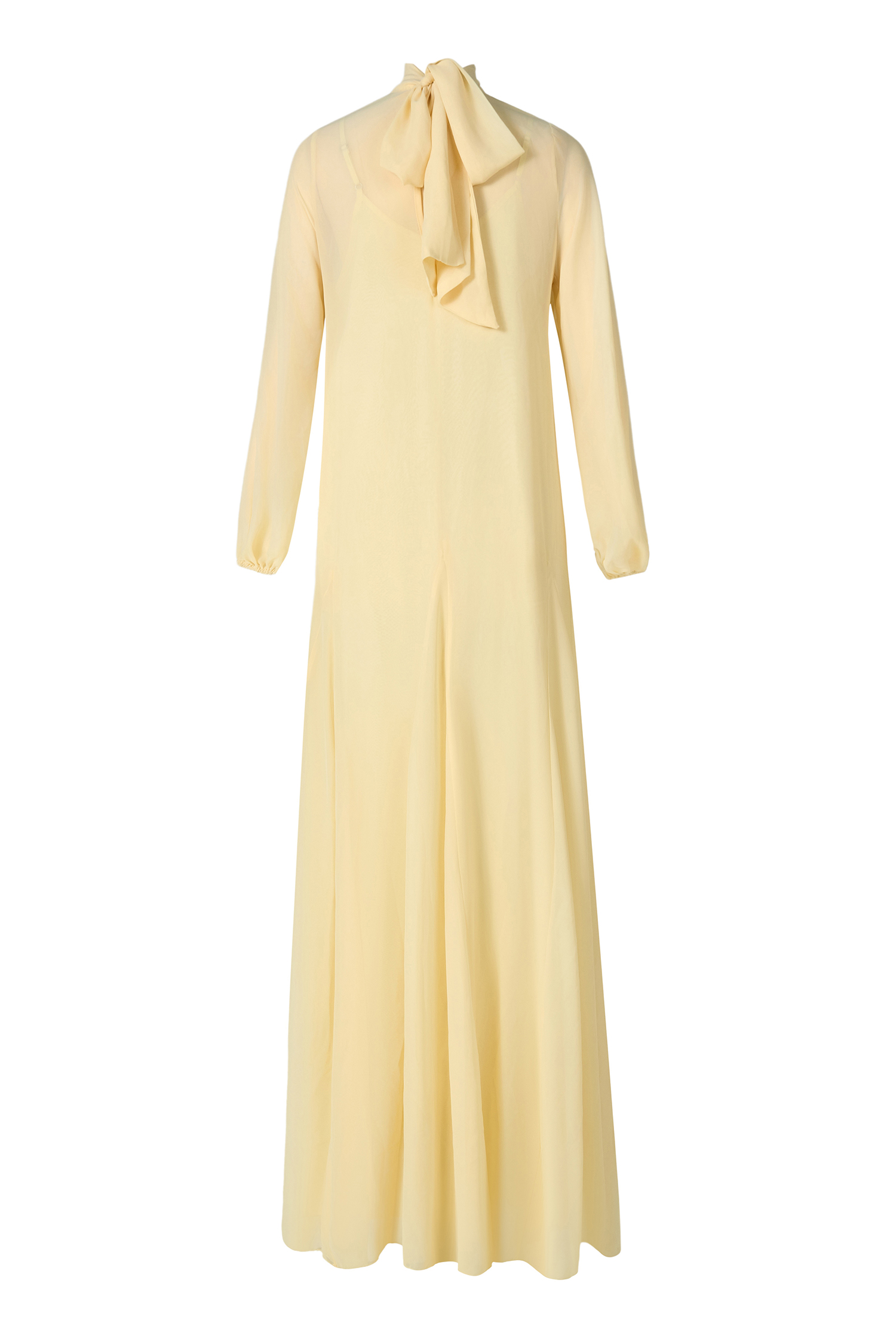 Embroidered Chiffon Lantern Sleeve Maxi Dress
