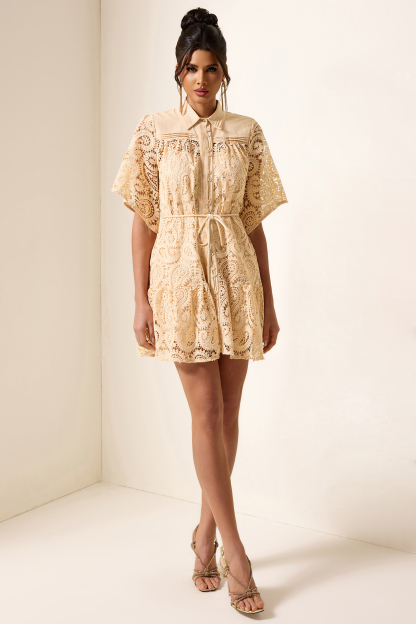 Solid Lace Shirt Collar Mini Dress