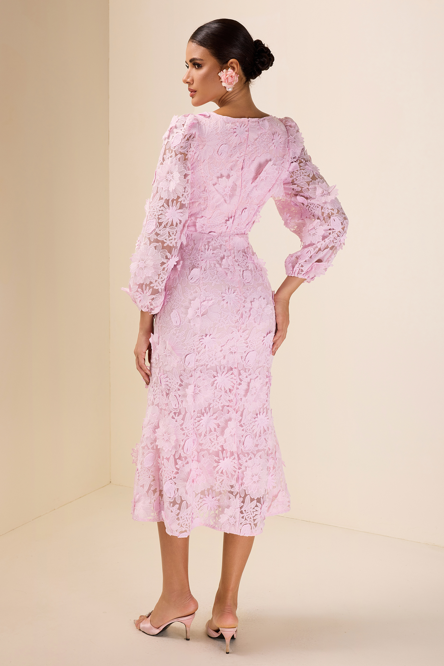 Embroidered Lace Long Sleeve Midi Dress