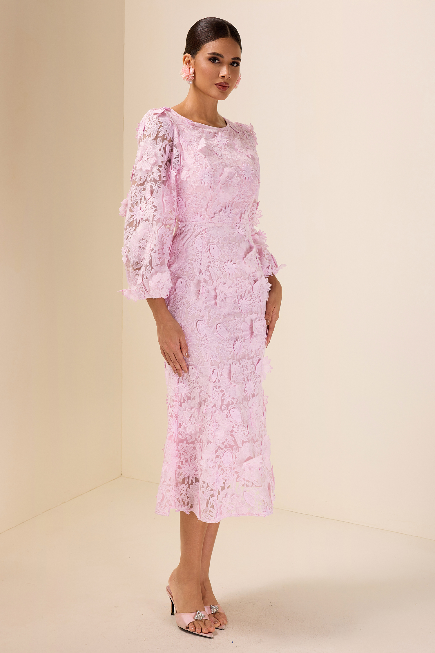 Embroidered Lace Long Sleeve Midi Dress