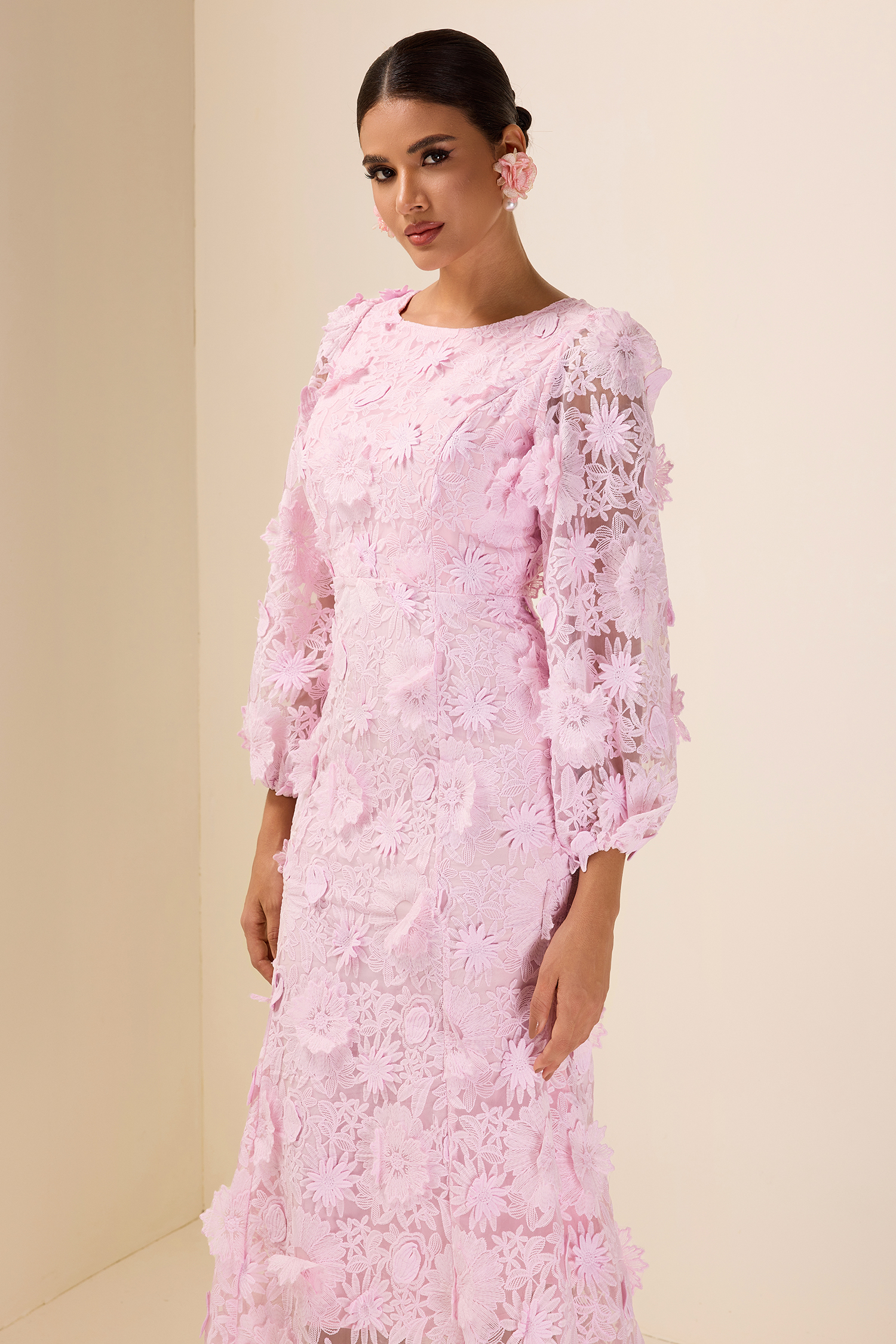 Embroidered Lace Long Sleeve Midi Dress