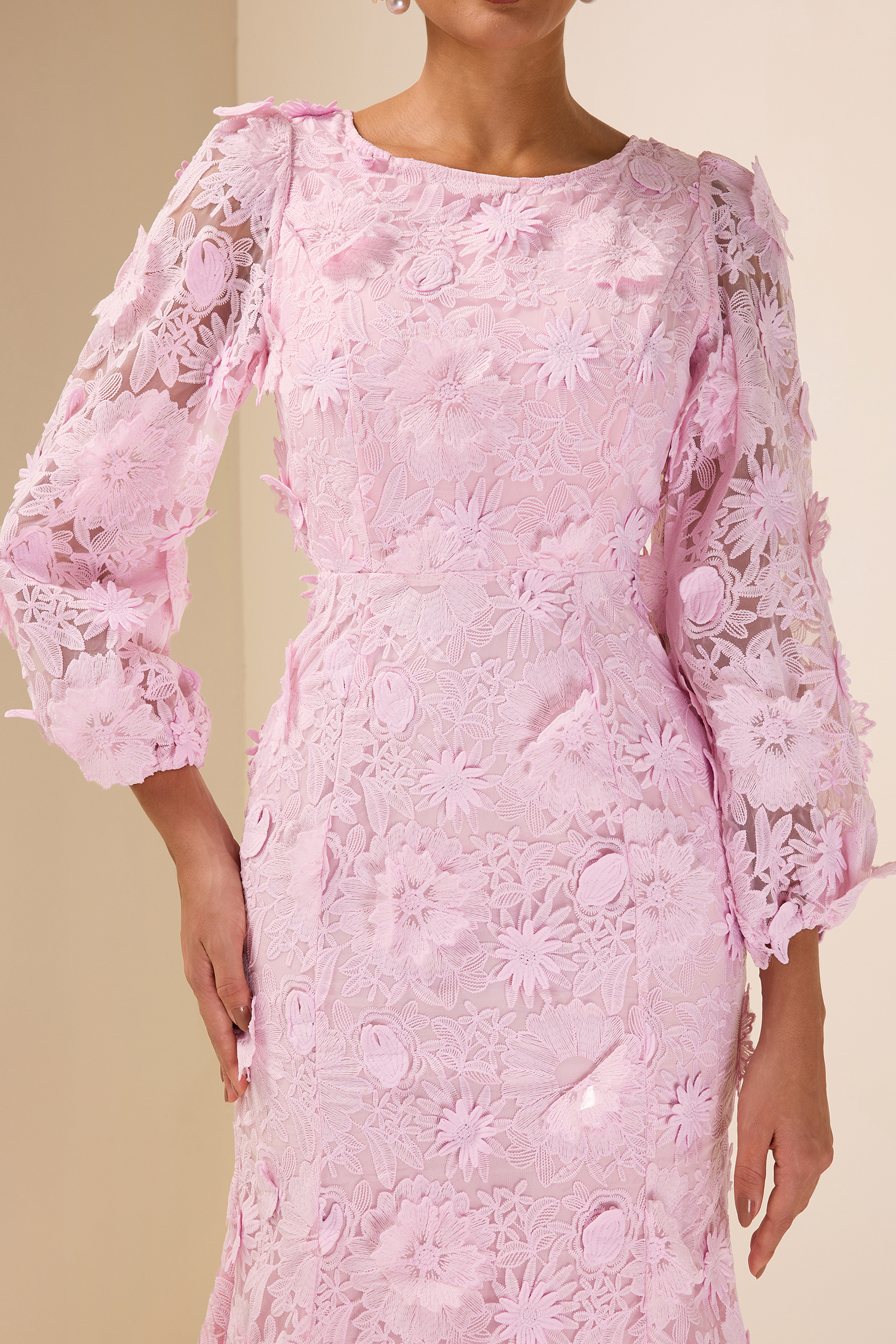 Embroidered Lace Long Sleeve Midi Dress