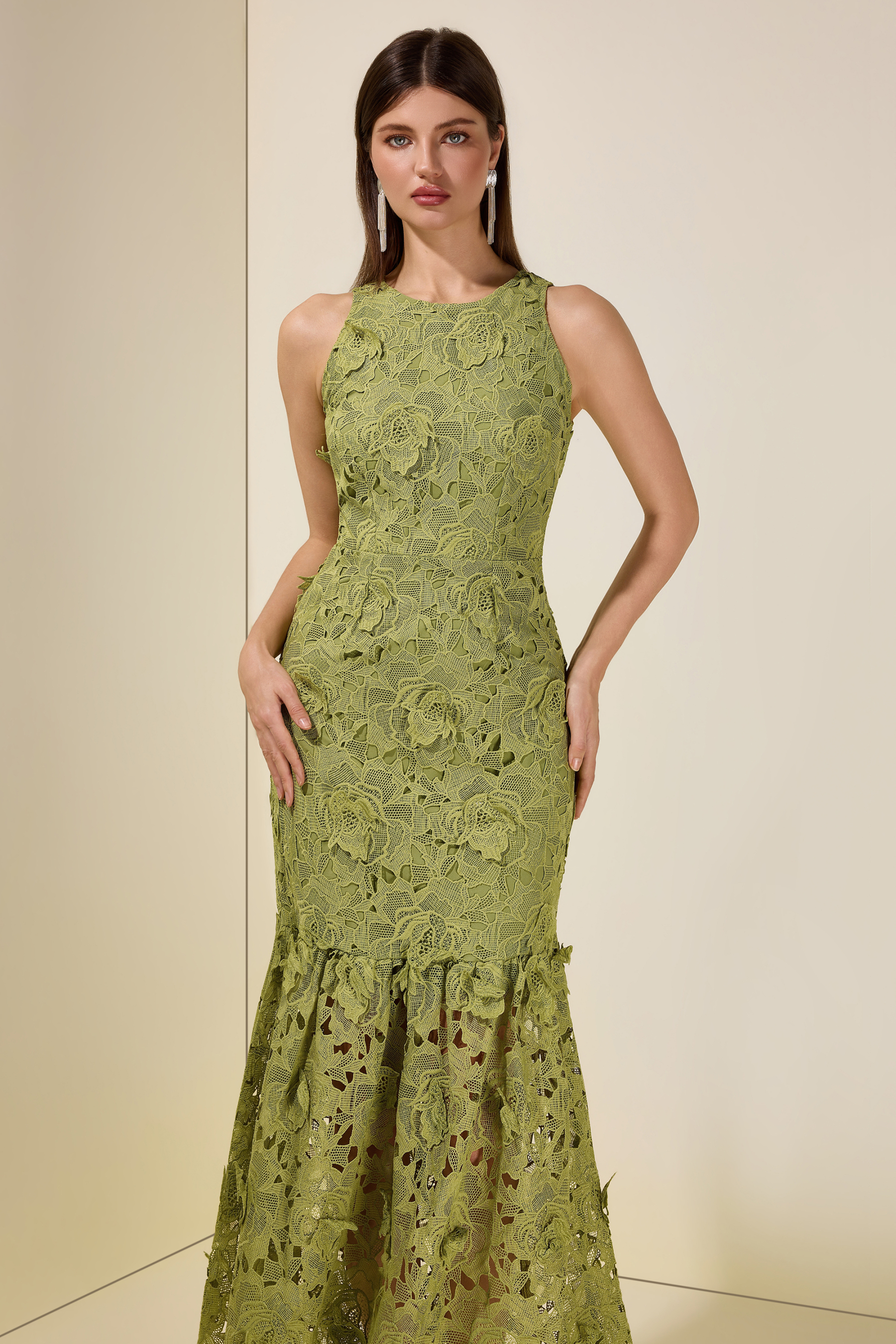 Lace Embroidered Sleeveless Midi Dress
