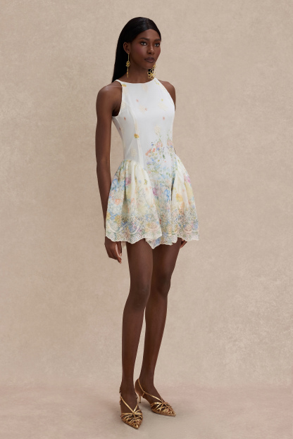 Floral Embroidered Sleeveless Mini Dress