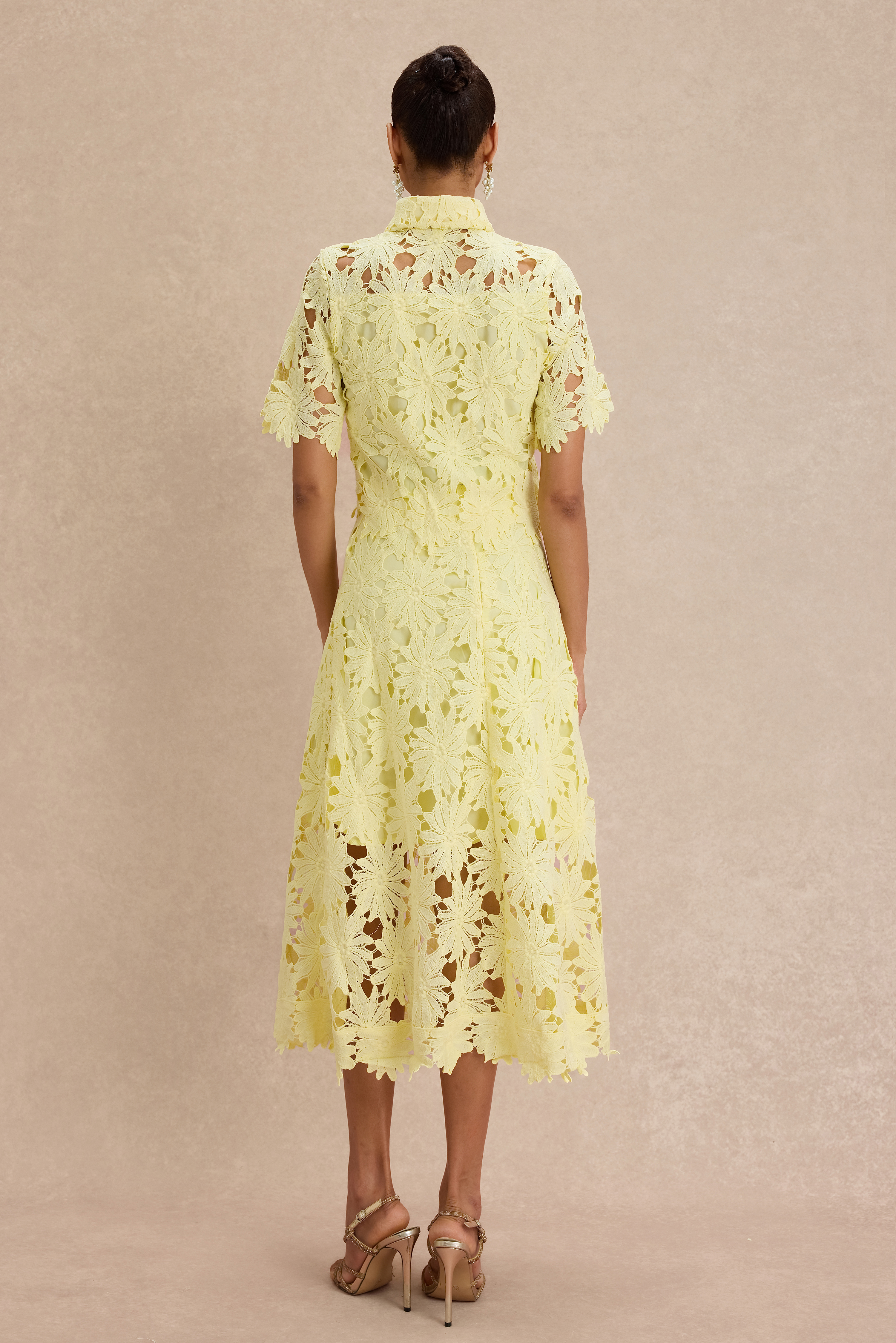 Lace Shirt Collar Single Breasted Top & Midi Skirt Set