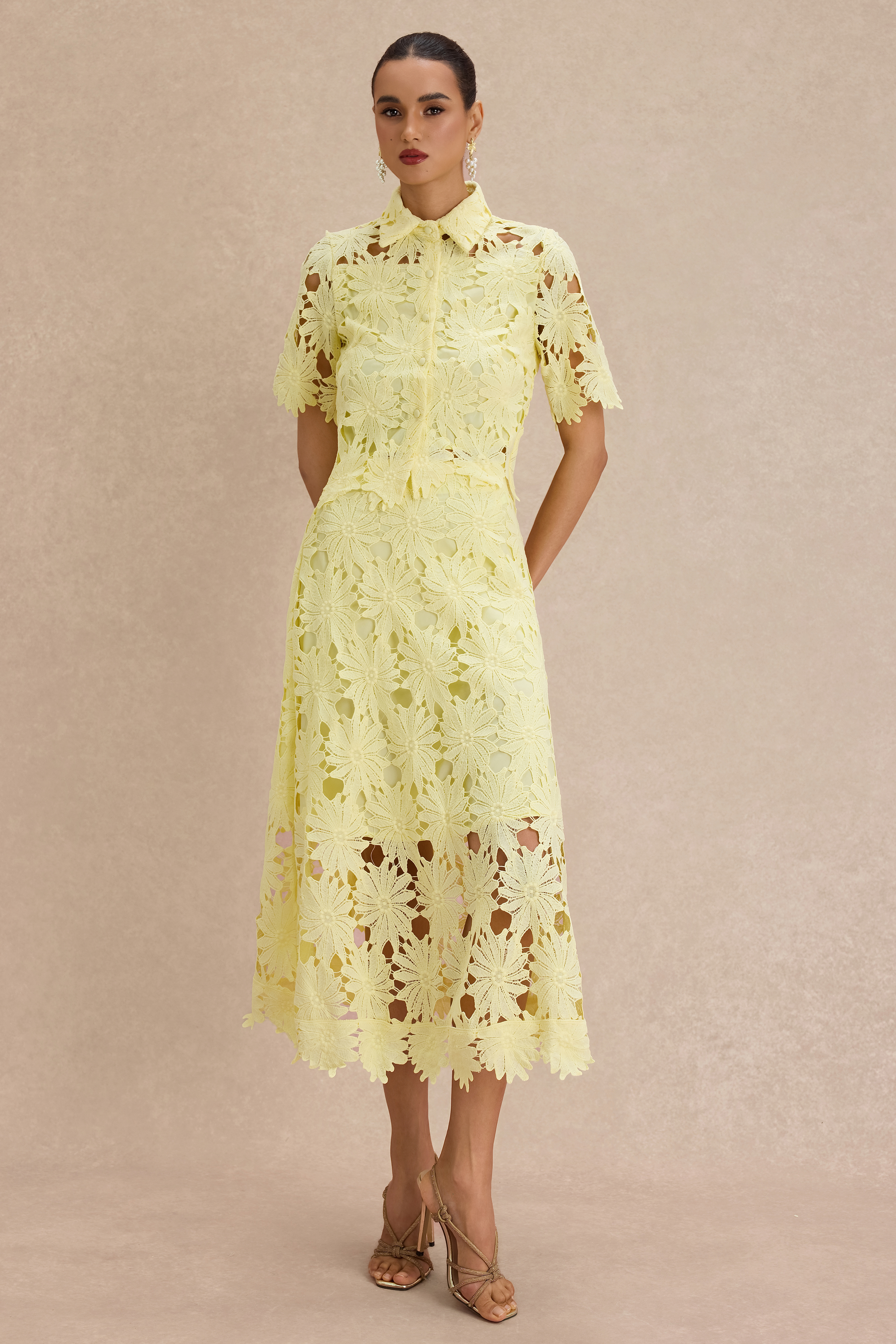 Lace Shirt Collar Single Breasted Top & Midi Skirt Set