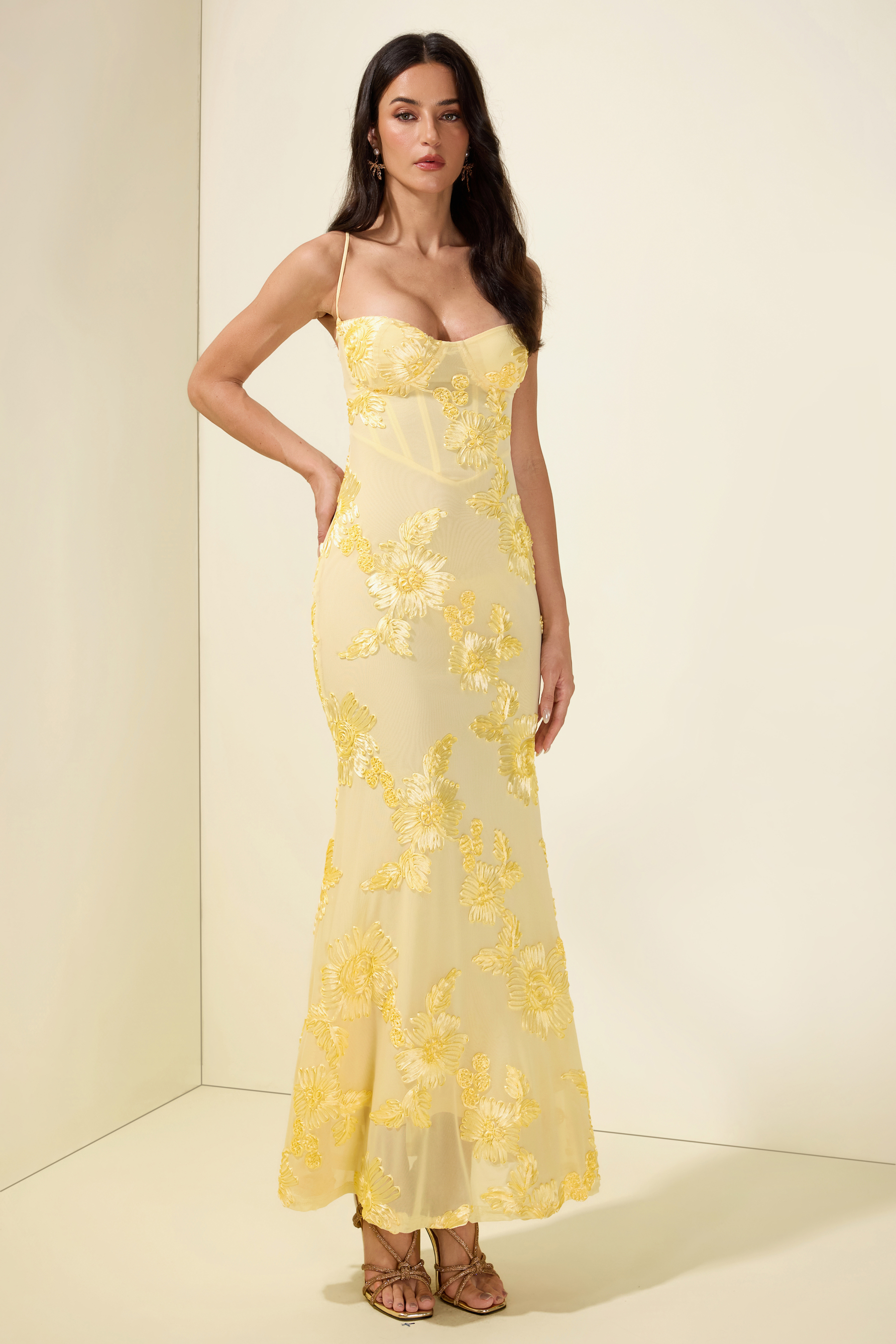 Mesh Embroidered Slip Midi Dress