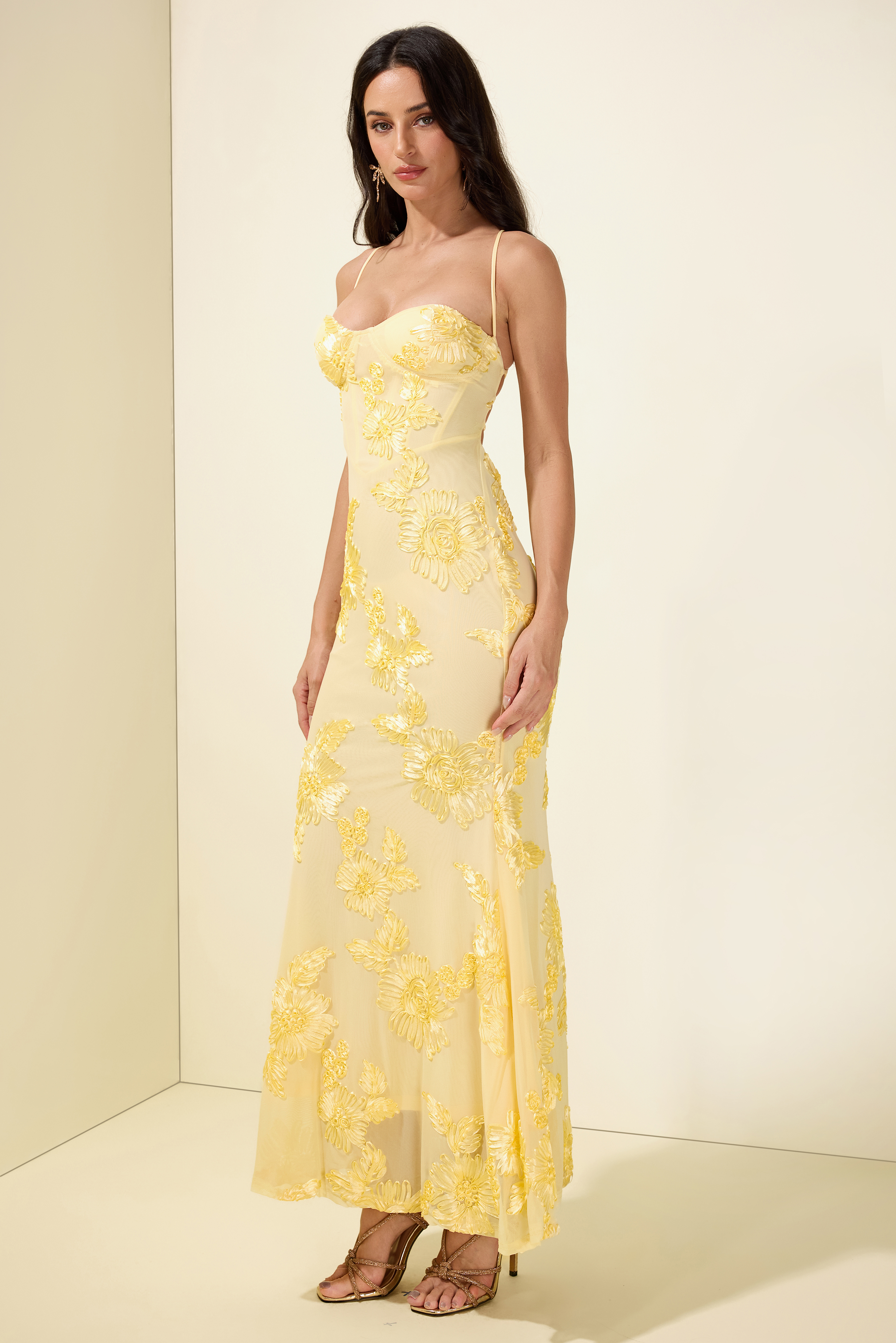 Mesh Embroidered Slip Midi Dress
