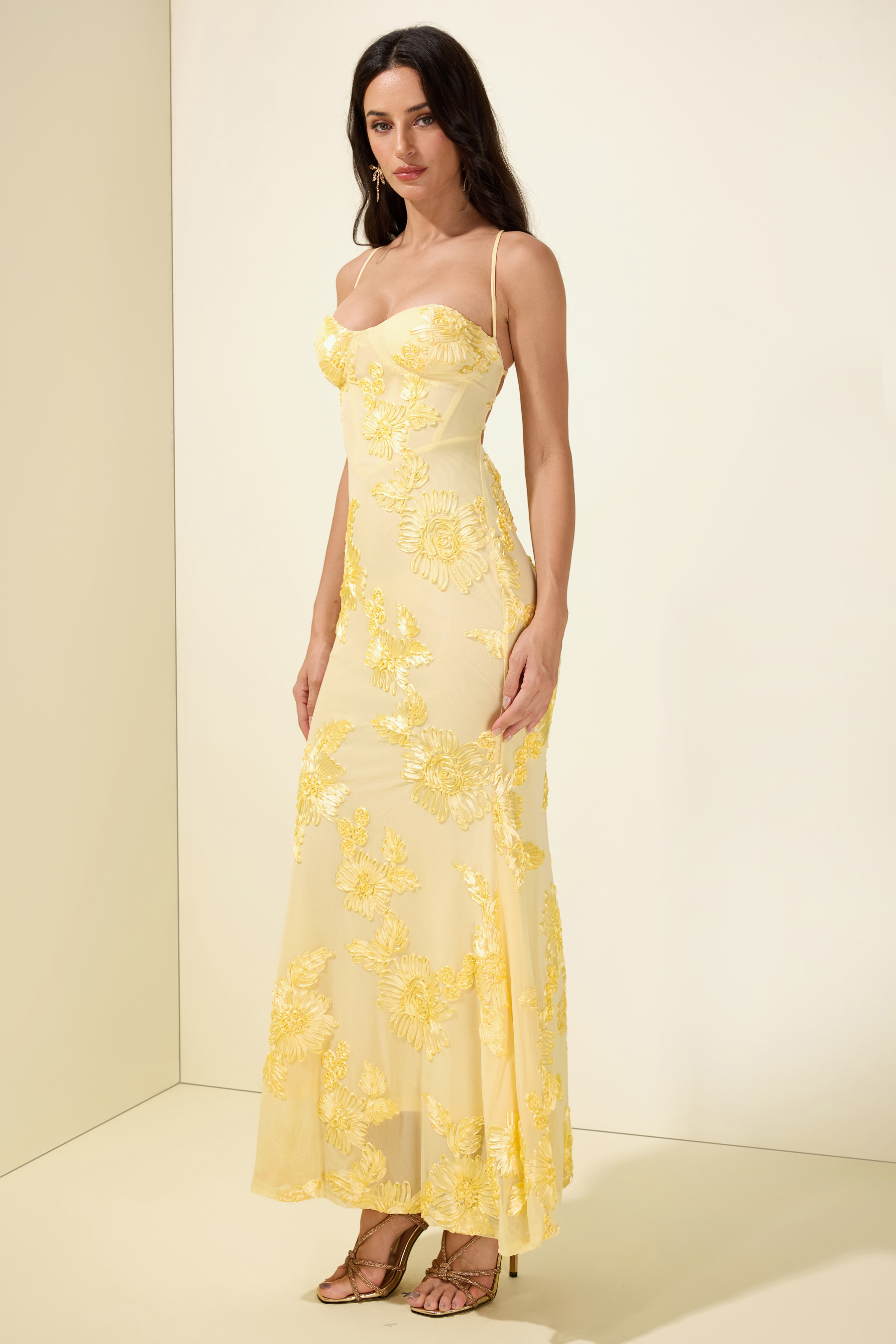 Mesh Embroidered Slip Midi Dress