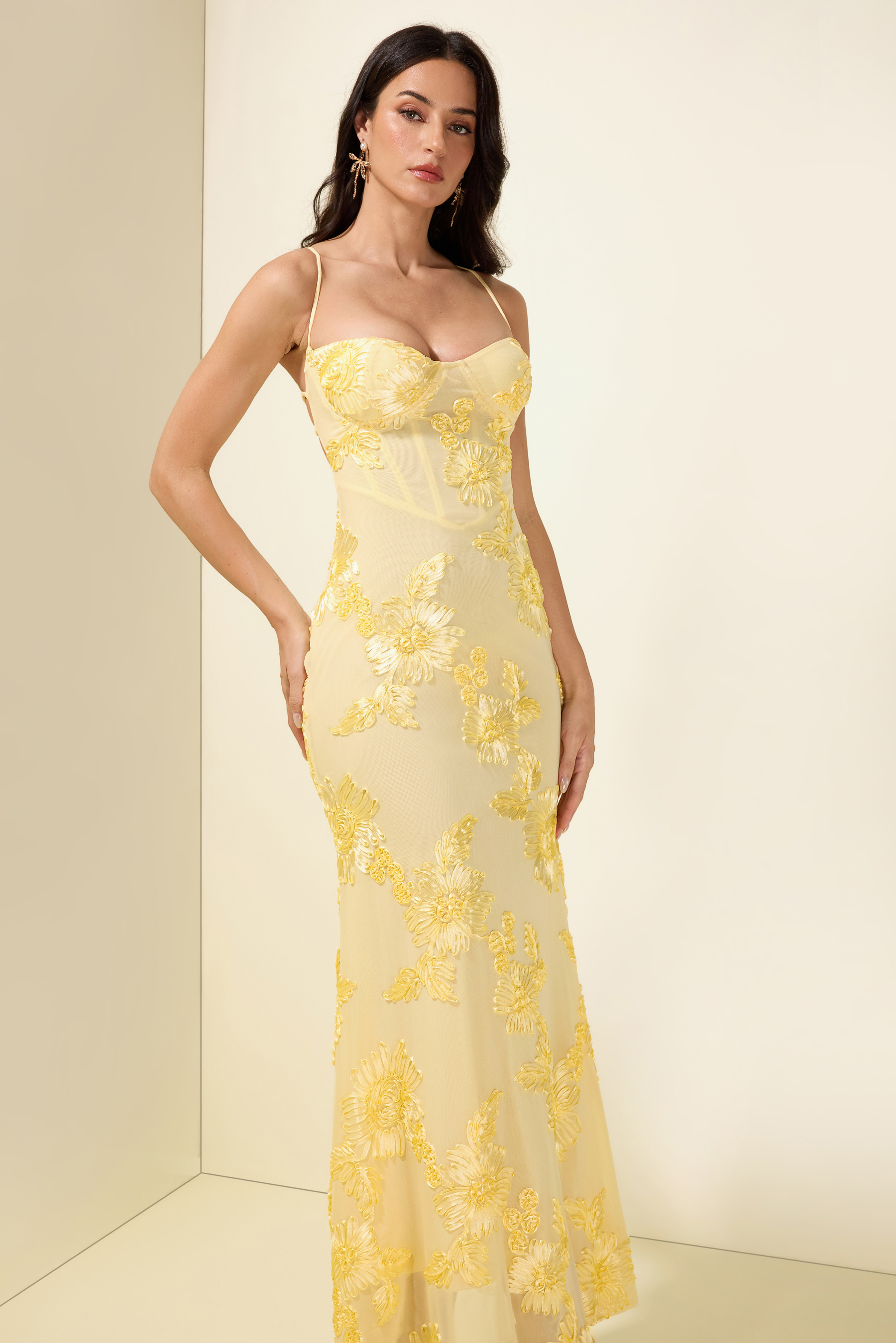 Mesh Embroidered Slip Midi Dress