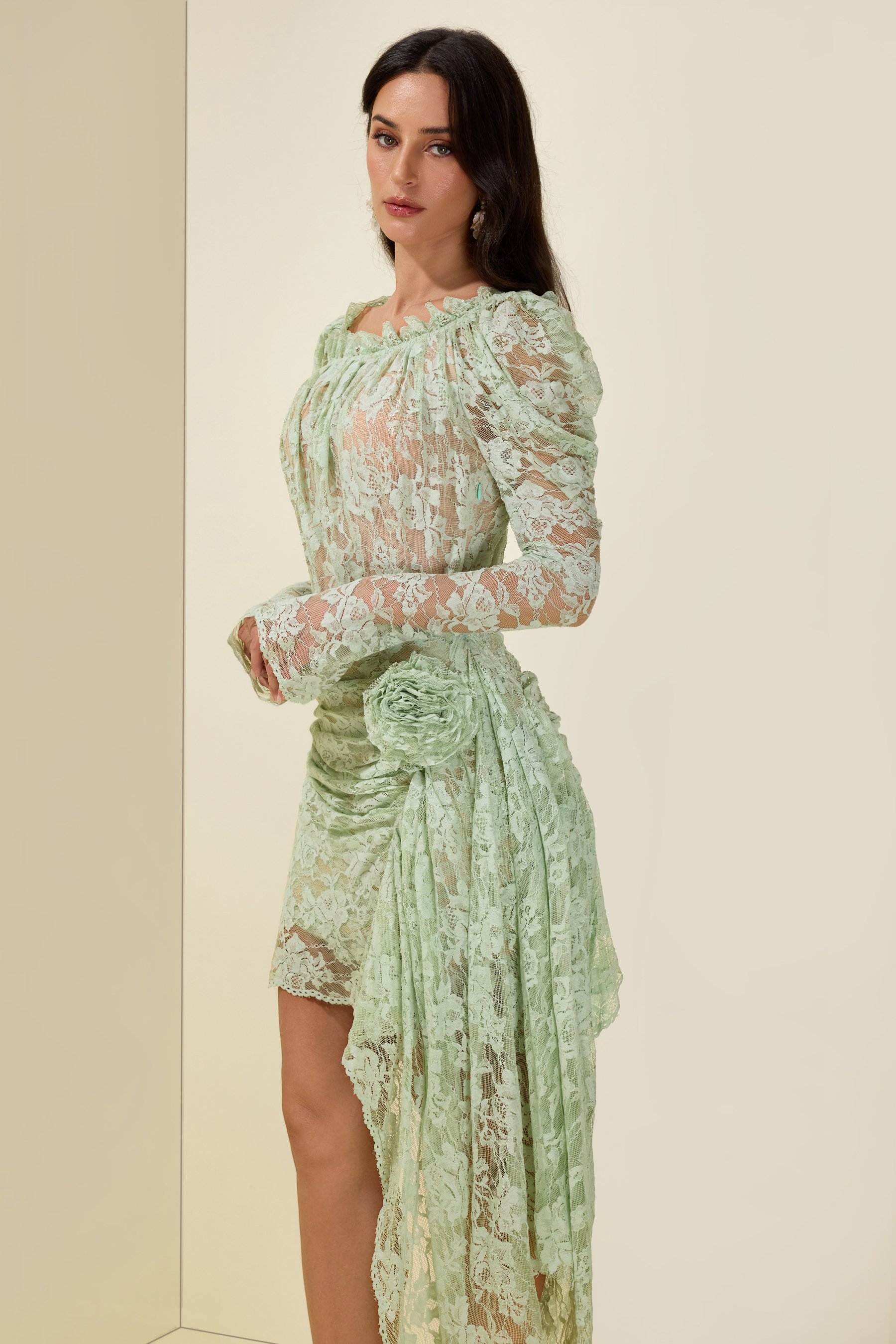 Lace 3D Floral Off-Shoulder Long Sleeve Mini Dress