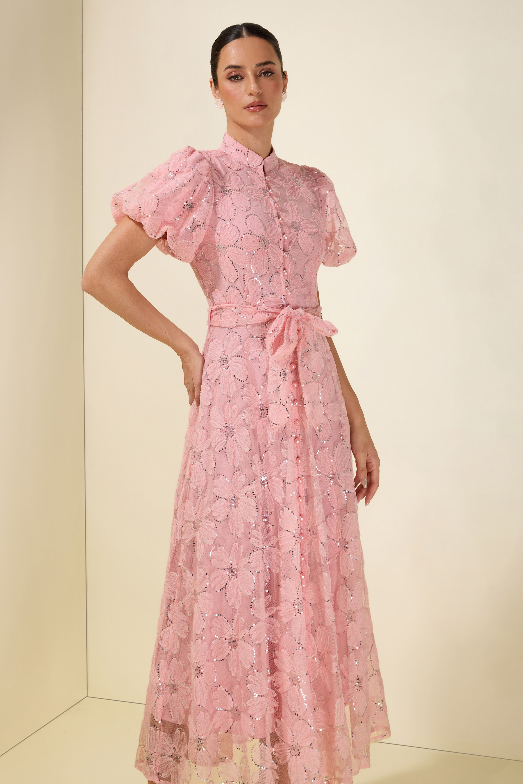 Embroidery Stand Collar Puff Sleeve With Belt Midi Dress