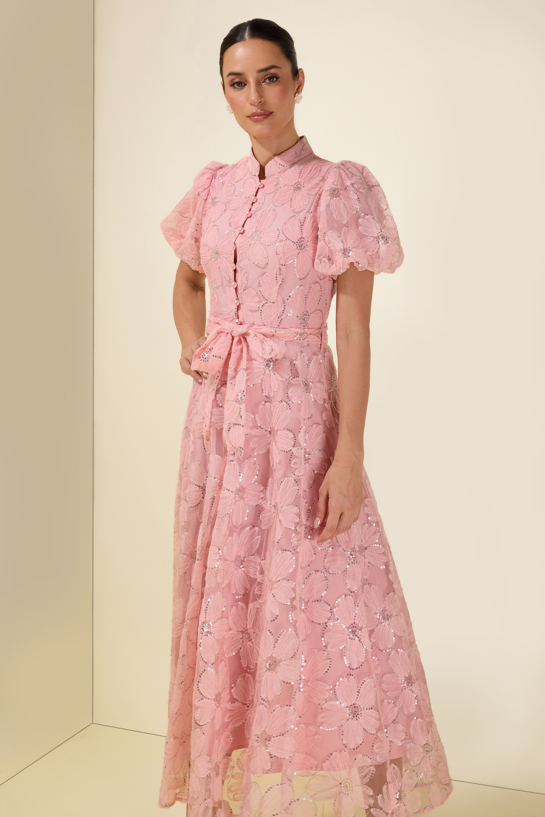 Embroidery Stand Collar Puff Sleeve With Belt Midi Dress