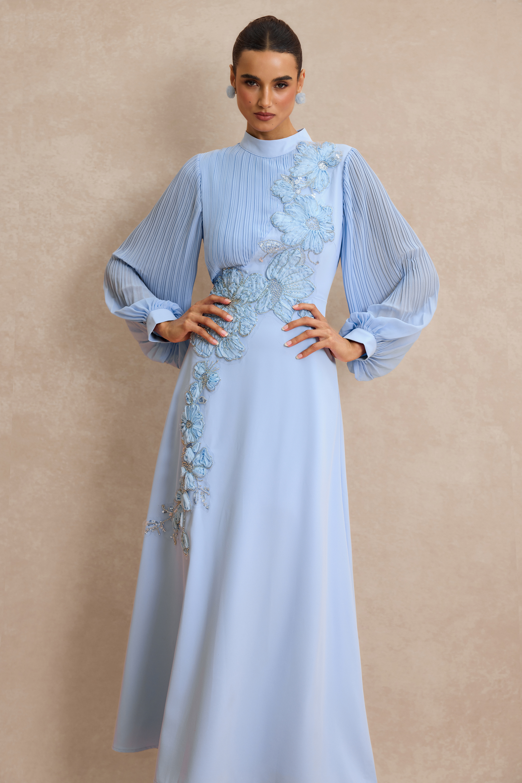 Embroidery Floral Applique Pleated Lantern Sleeve Maxi Dress