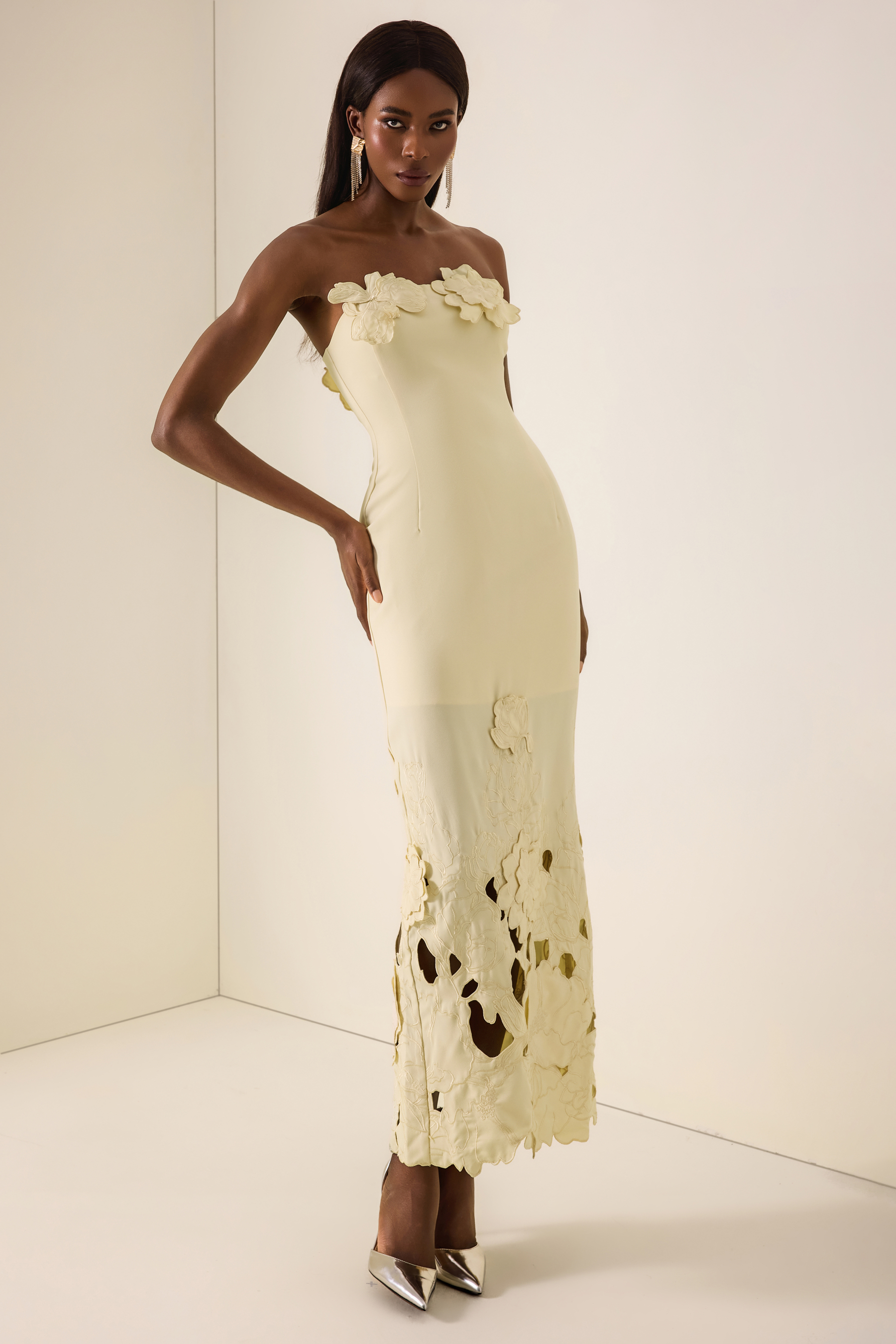 Off-Shoulder Floral Appliquéd Midi Dress