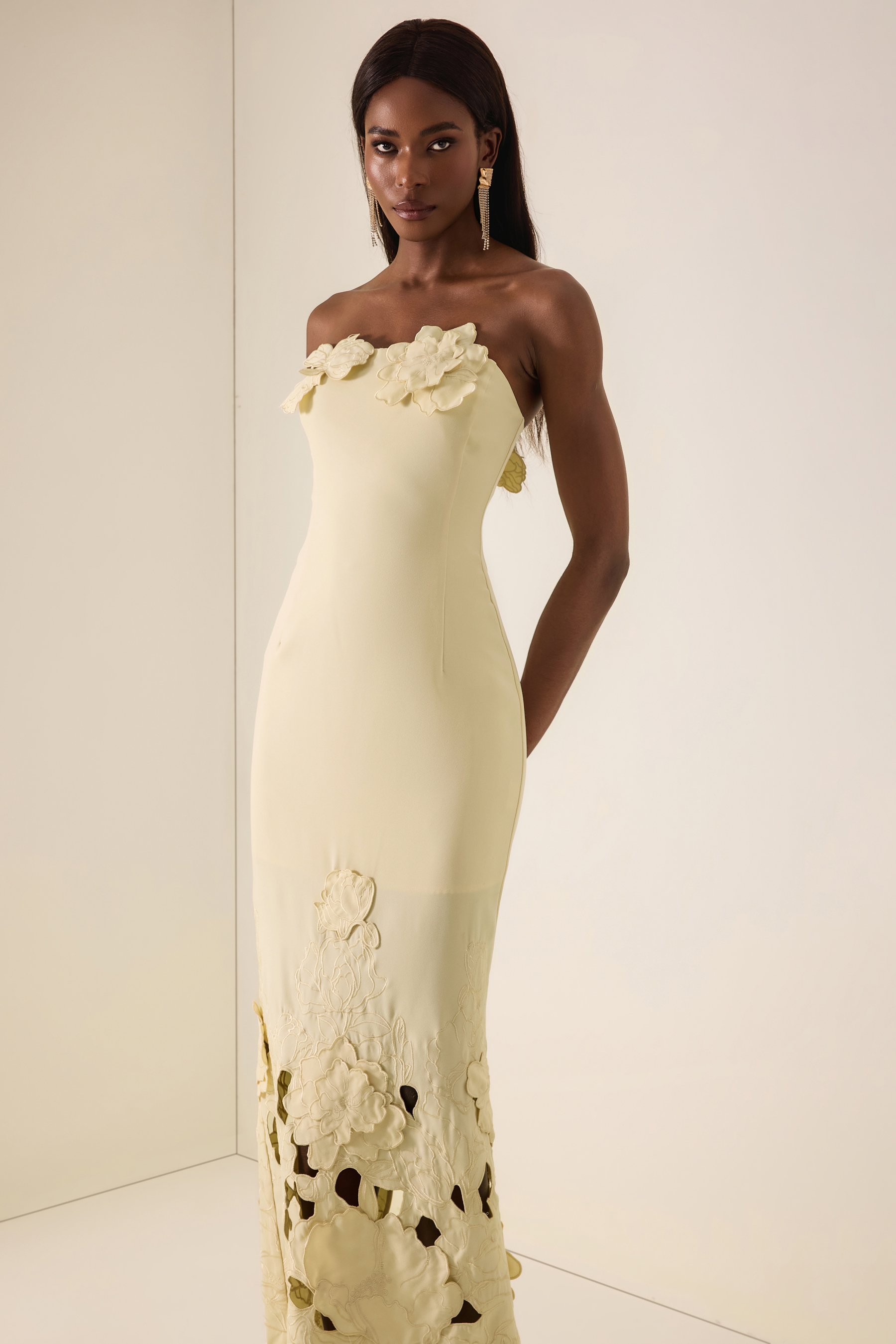 Off-Shoulder Floral Appliquéd Midi Dress