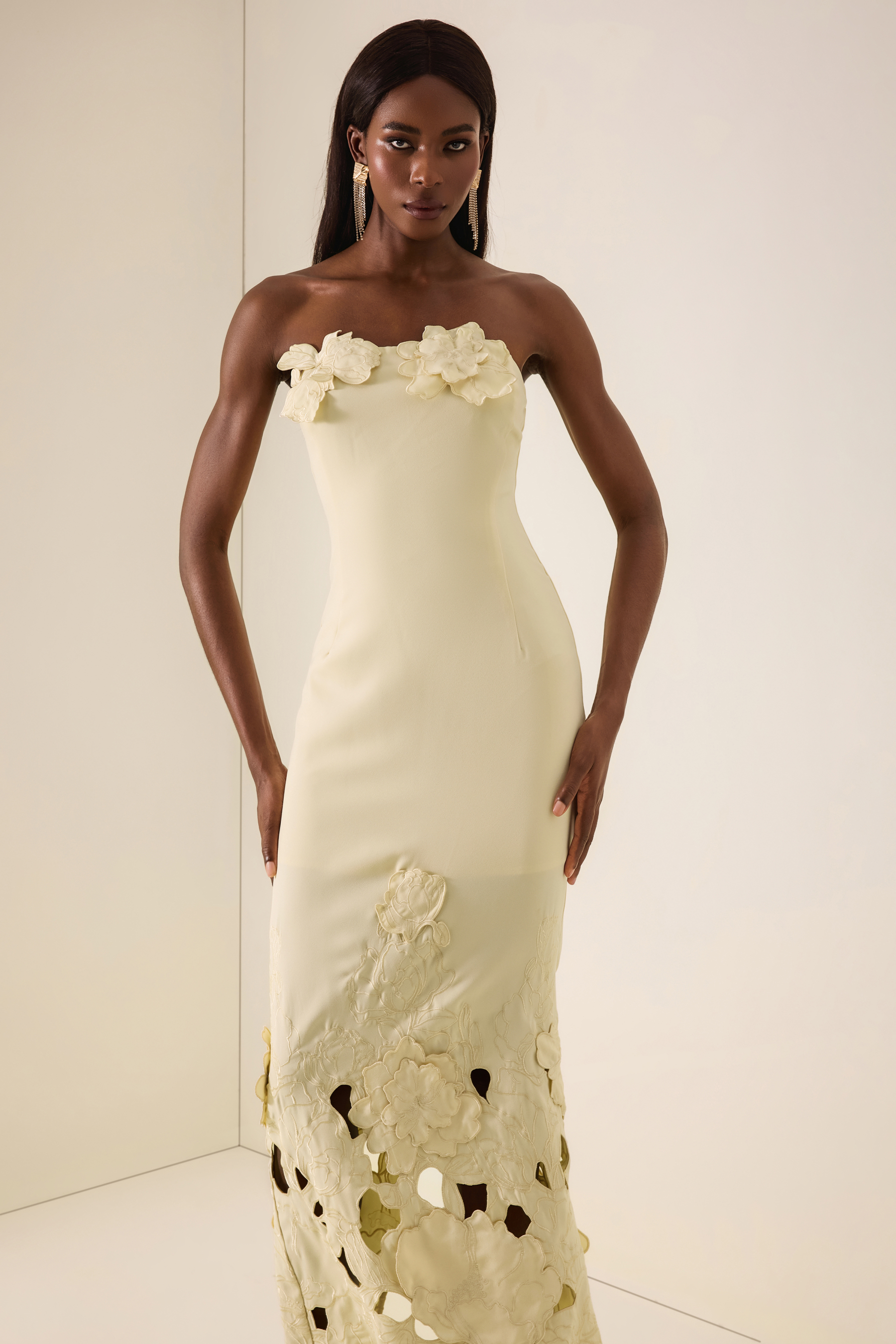 Off-Shoulder Floral Appliquéd Midi Dress
