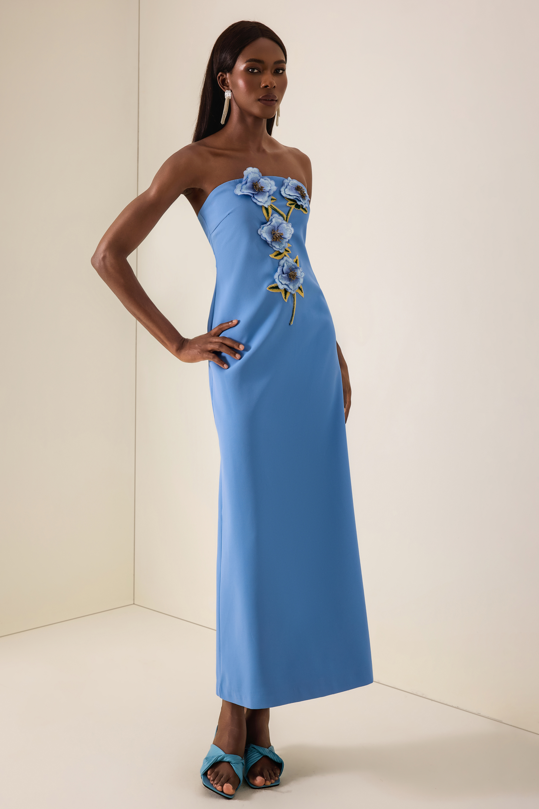 Embroidered Strapless Maxi Dress With Cape