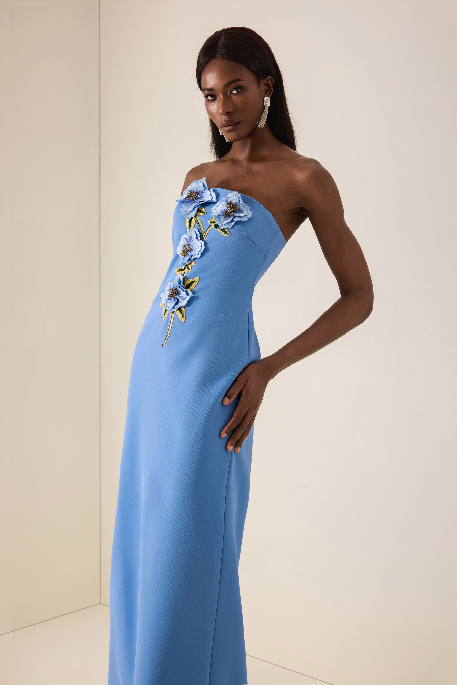 Embroidered Strapless Maxi Dress With Cape