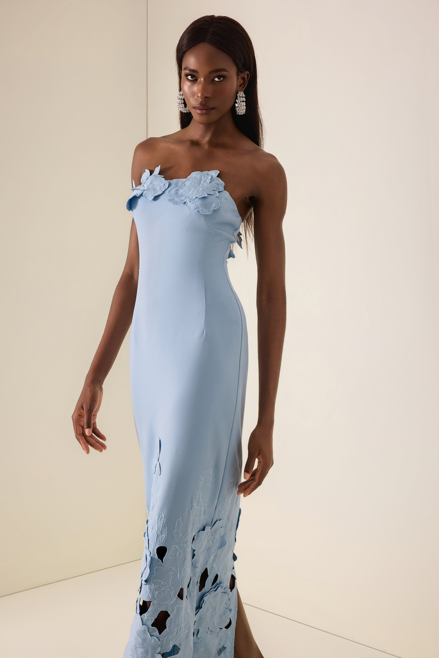 Off-Shoulder Floral Appliquéd Midi Dress