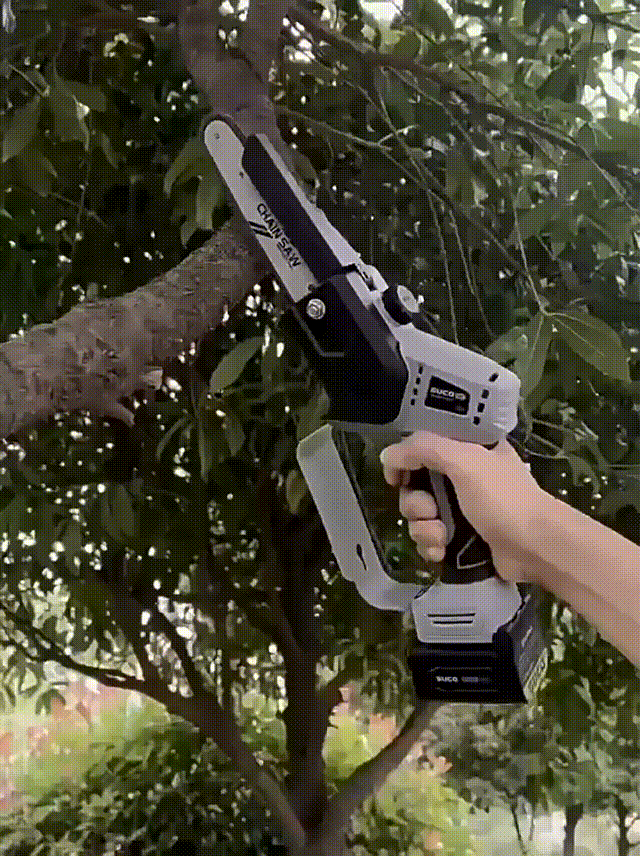 1725622547261930.gif DM_20240906193241_001.gif