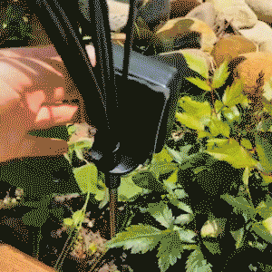 🔥LAST DAY 50% OFF🔥Solar Powered Firefly Garden Light BUY 2 FREE SHIP