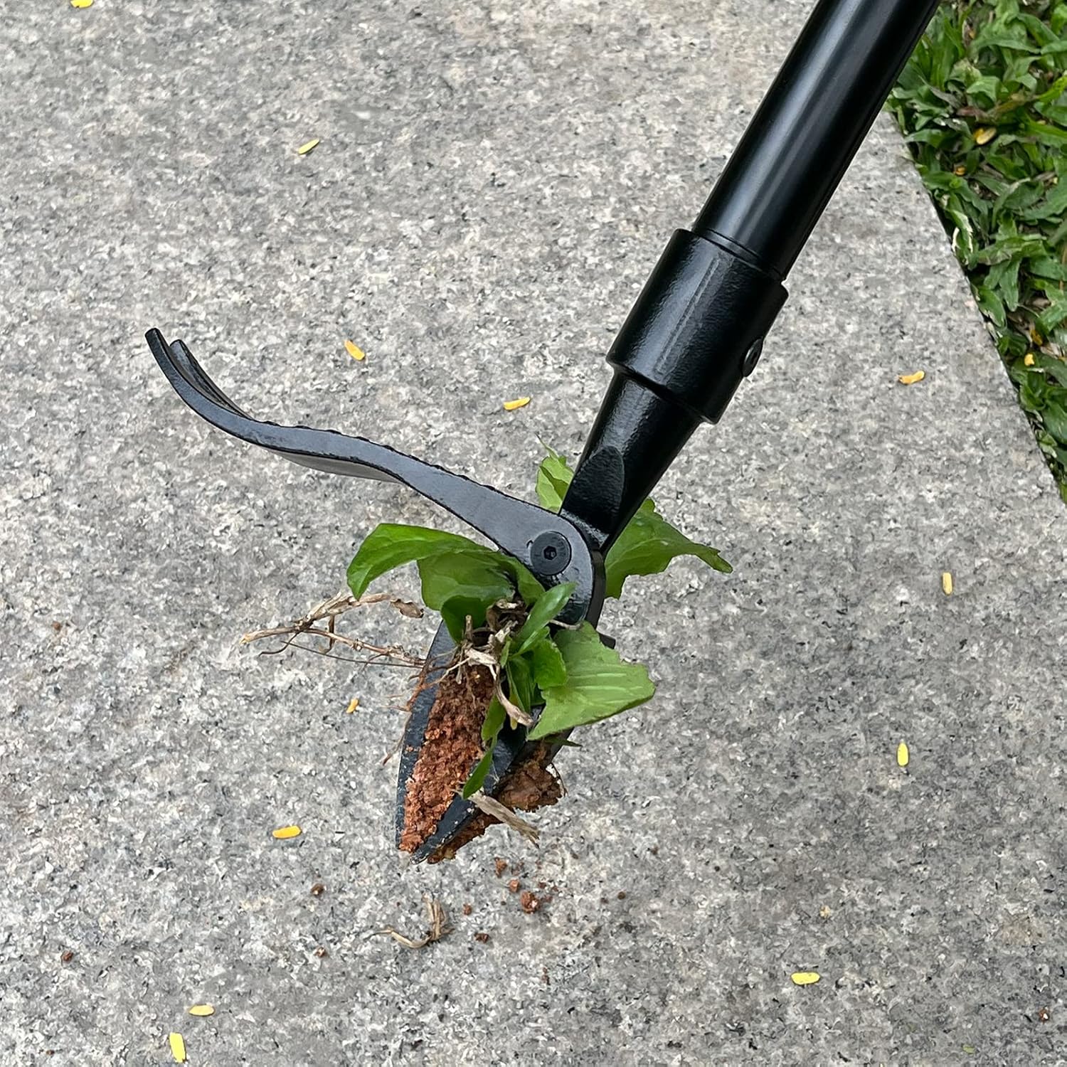 🔥Detachable Stand Up Weed Puller
