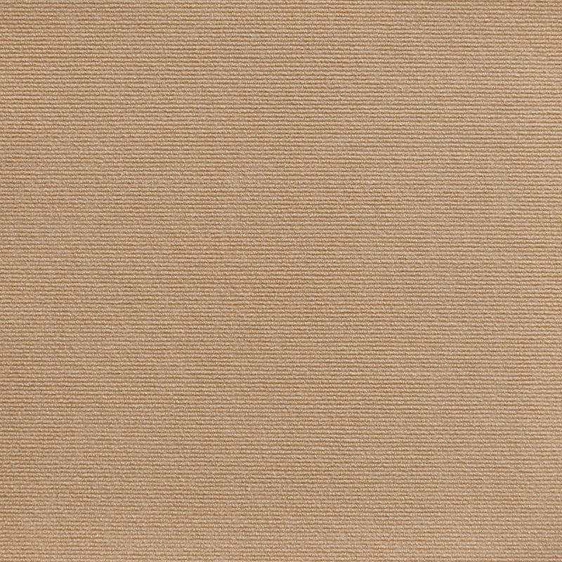 Hot sale -40%🔥ReciprocatlTM -Cat Scratching