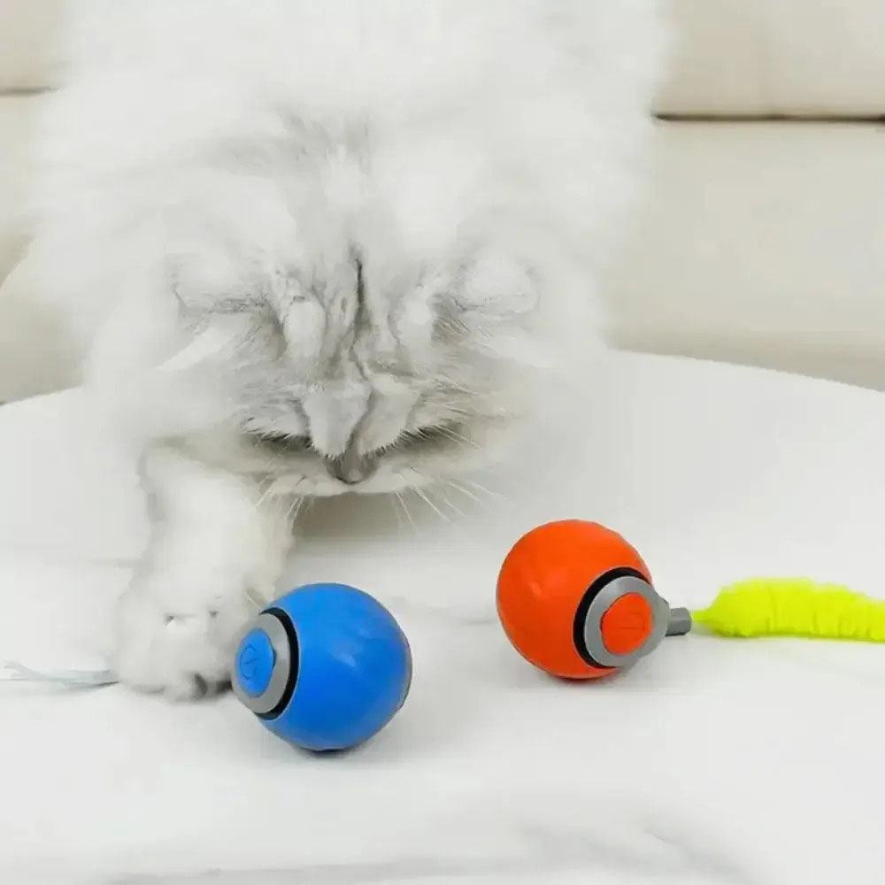 😻Speedy Tail 2.0,the smart cat toy that keeps cats Engaged.