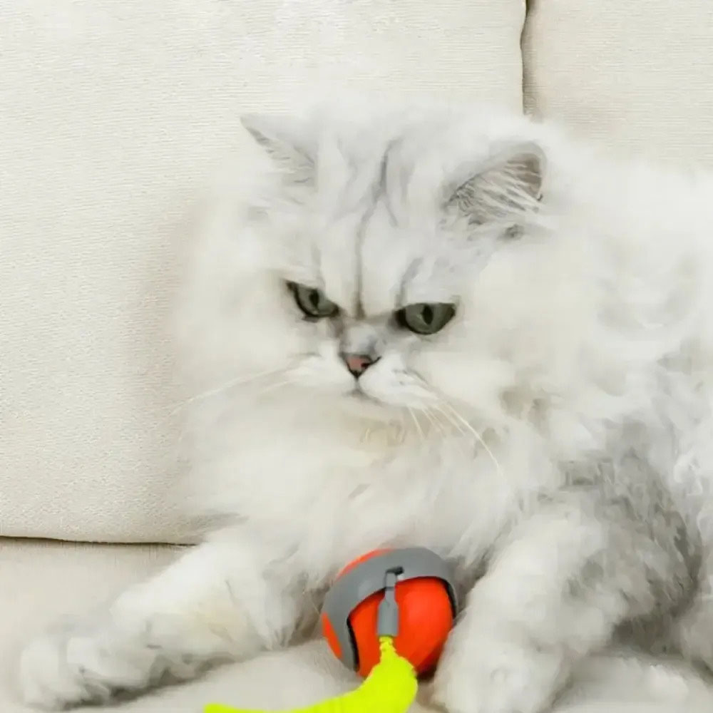 😻Speedy Tail 2.0,the smart cat toy that keeps cats Engaged.