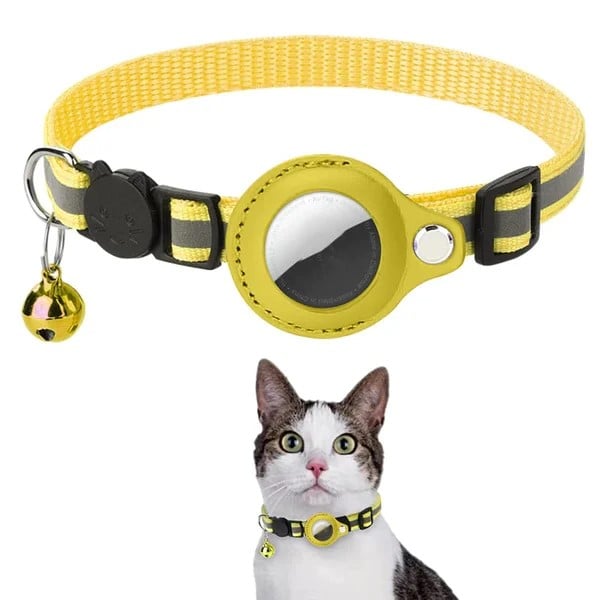 🔥 LAST DAY 60% OFF🎁 Collar For Cat