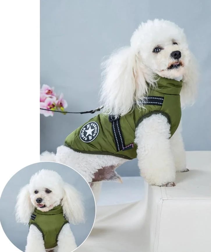 🔥 🐶Waterproof Furry Jacket for Dogs of All Sizes🔥49% off-Buy 2 save 10% &Free Shipping