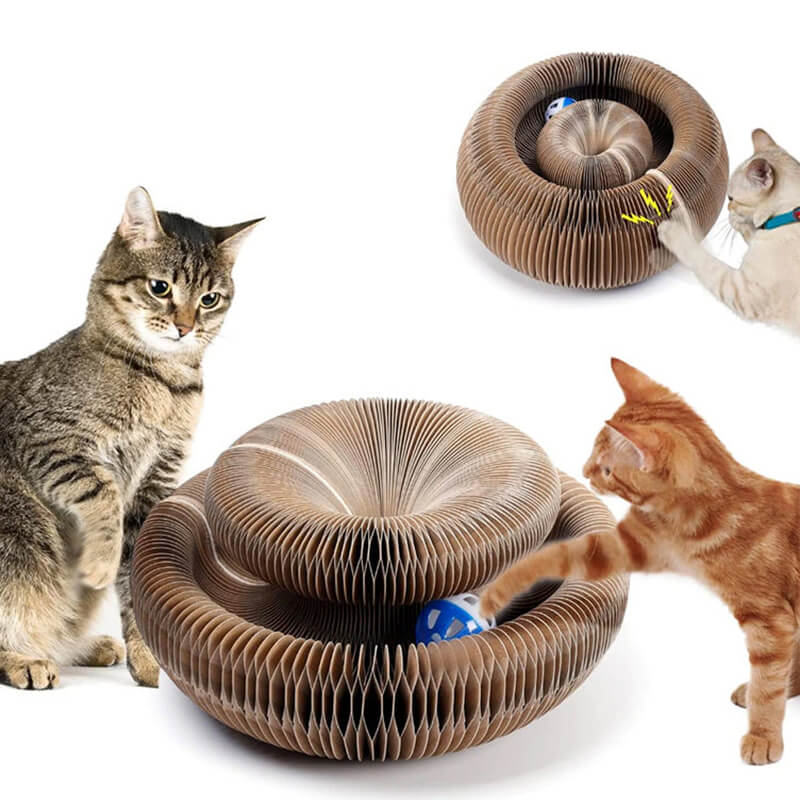 Magic Organ Cat Scratching Board - Comes with a toy bell ball