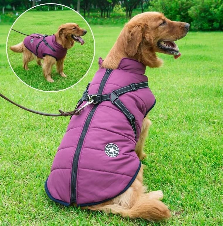 🔥 🐶Waterproof Furry Jacket for Dogs of All Sizes🔥49% off-Buy 2 save 10% &Free Shipping